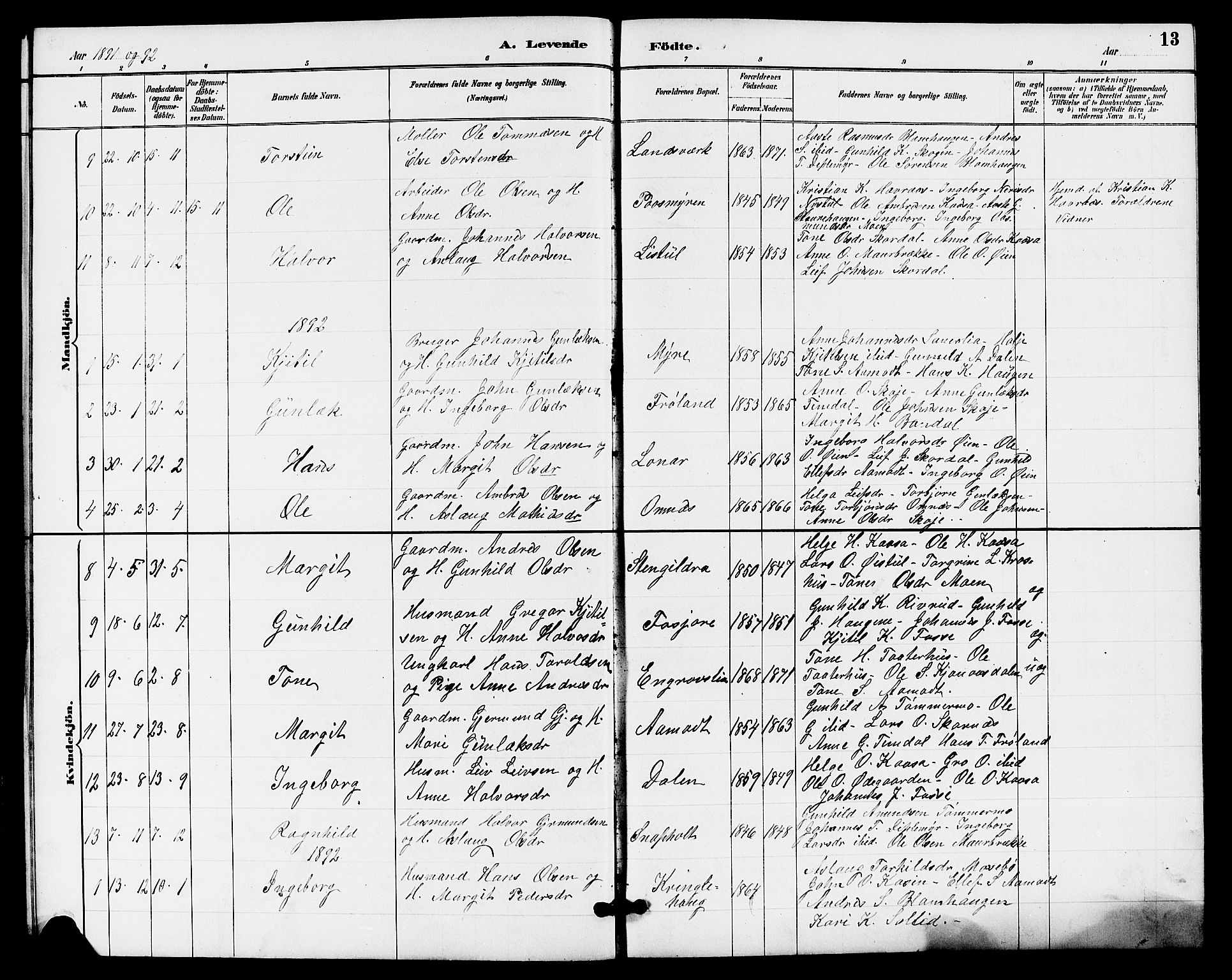 Hjartdal kirkebøker, SAKO/A-270/G/Gb/L0003: Parish register (copy) no. II 3, 1884-1899, p. 13