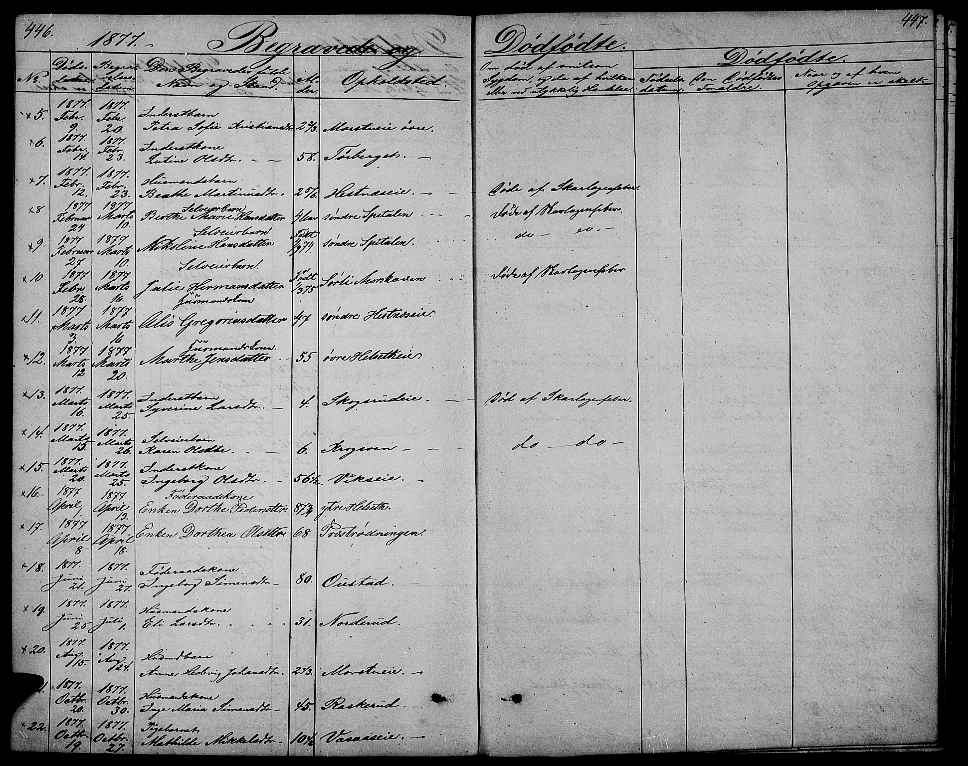 Stange prestekontor, AV/SAH-PREST-002/L/L0005: Parish register (copy) no. 5, 1861-1881, p. 446-447