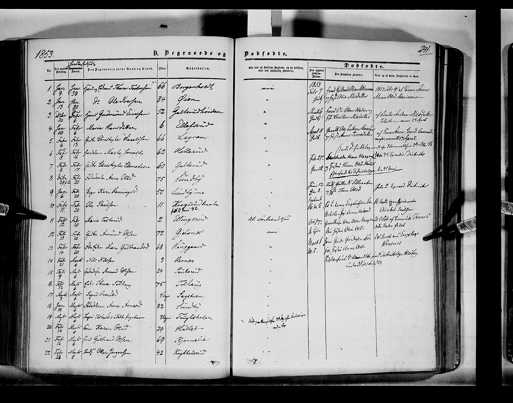 Sør-Odal prestekontor, AV/SAH-PREST-030/H/Ha/Haa/L0001: Parish register (official) no. 1, 1849-1859, p. 241