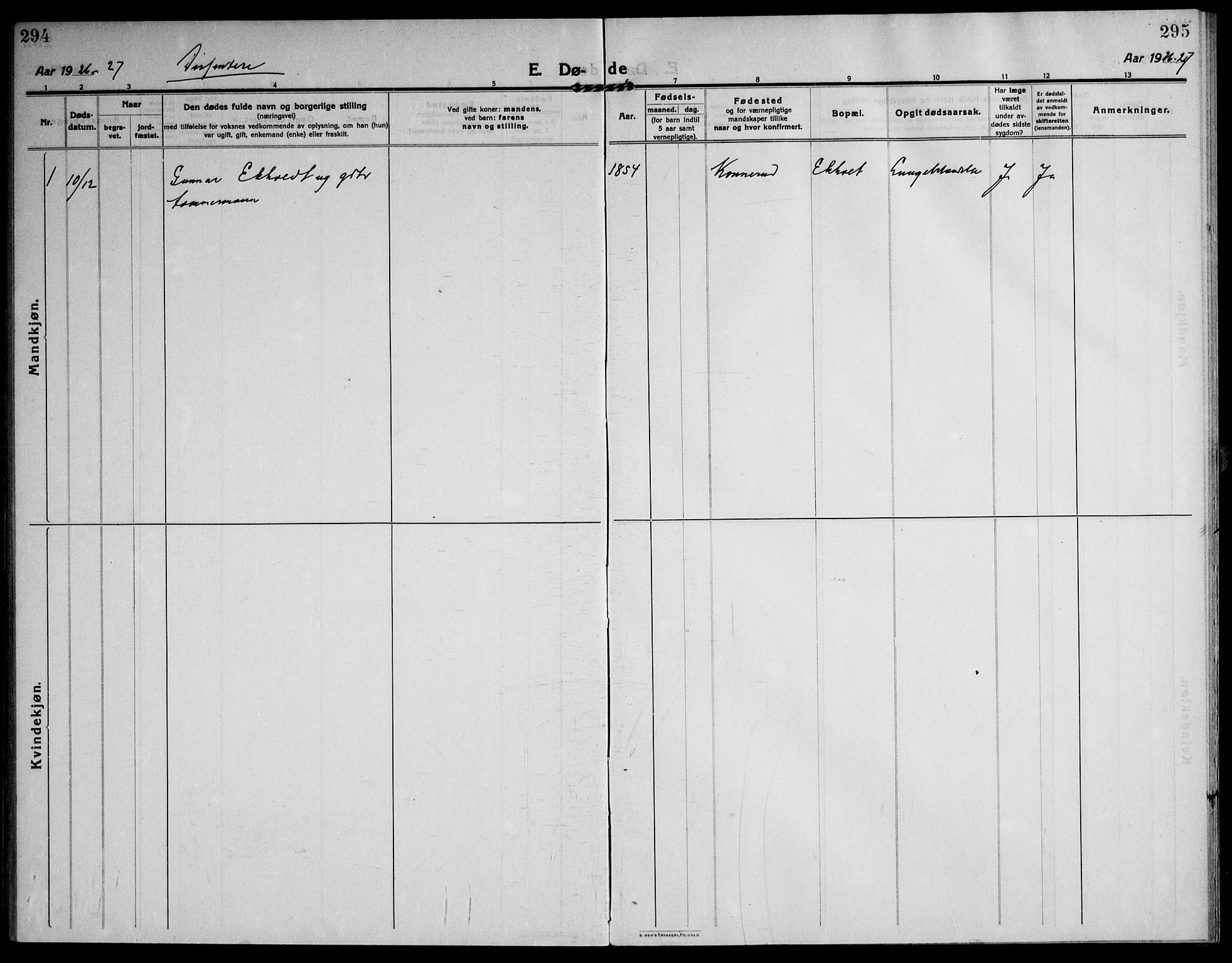 Skoger kirkebøker, AV/SAKO-A-59/F/Fb/L0002: Parish register (official) no. II 2, 1914-1941, p. 294-295