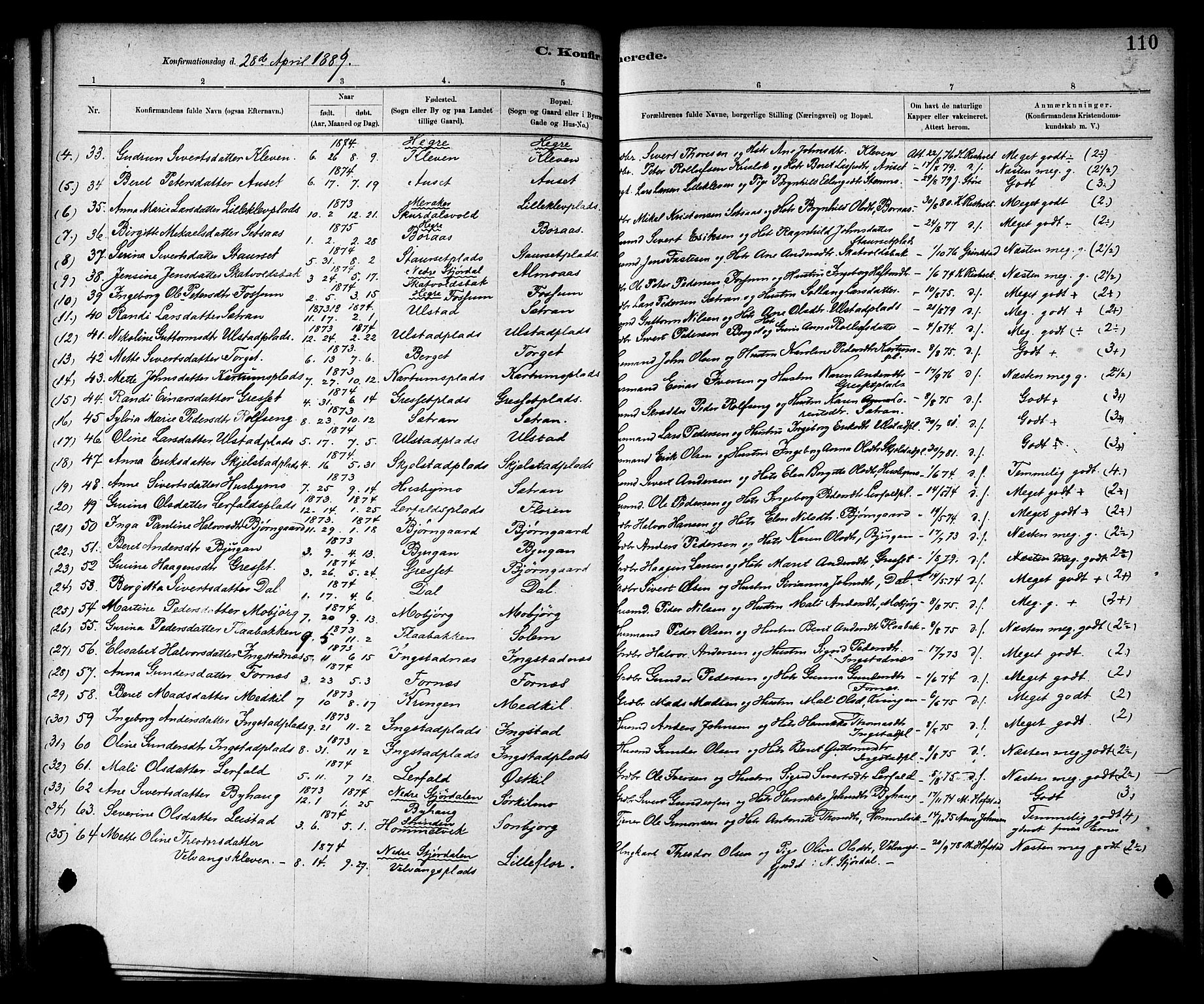 Ministerialprotokoller, klokkerbøker og fødselsregistre - Nord-Trøndelag, SAT/A-1458/703/L0030: Parish register (official) no. 703A03, 1880-1892, p. 110