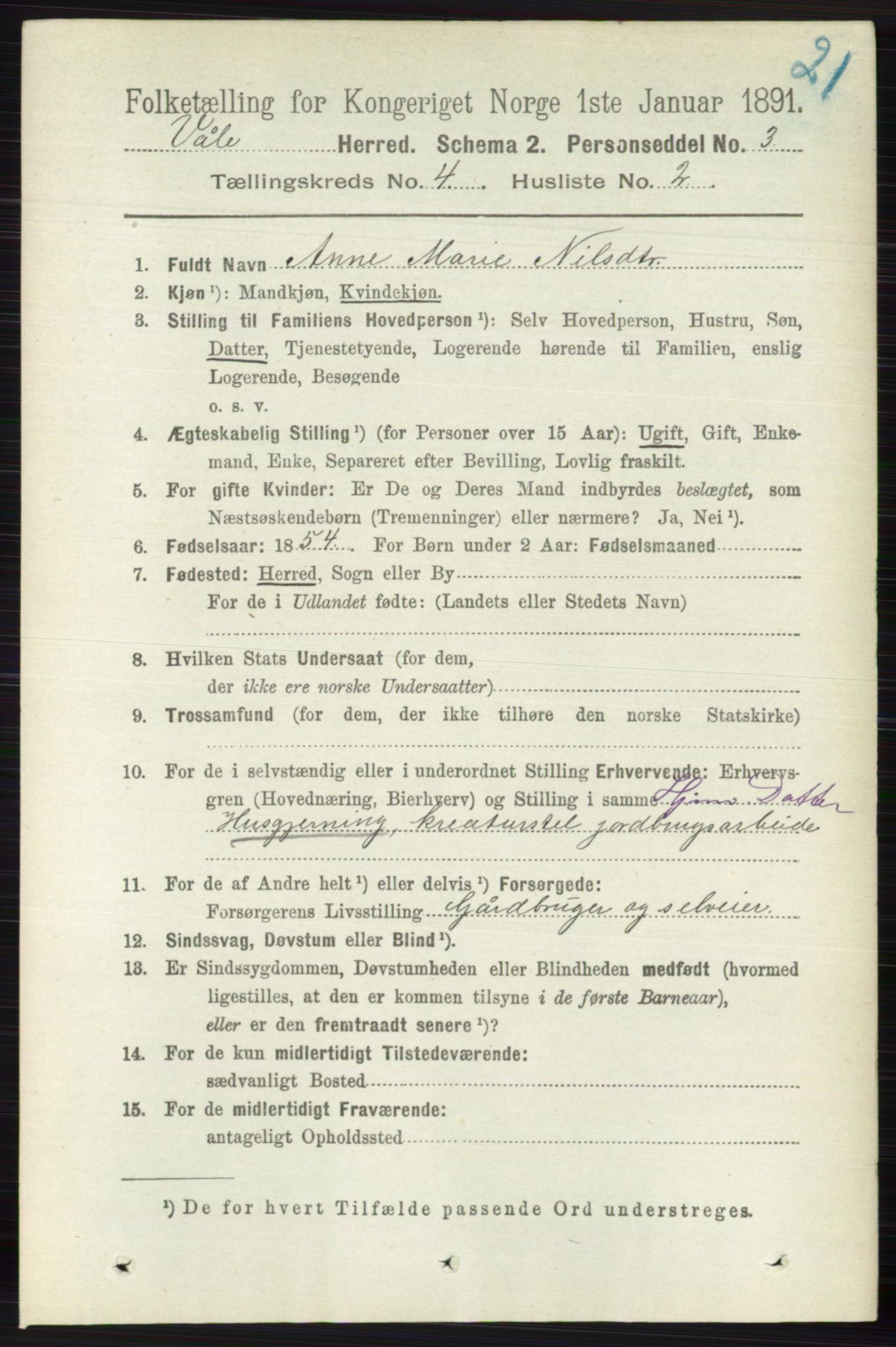 RA, 1891 census for 0716 Våle, 1891, p. 994