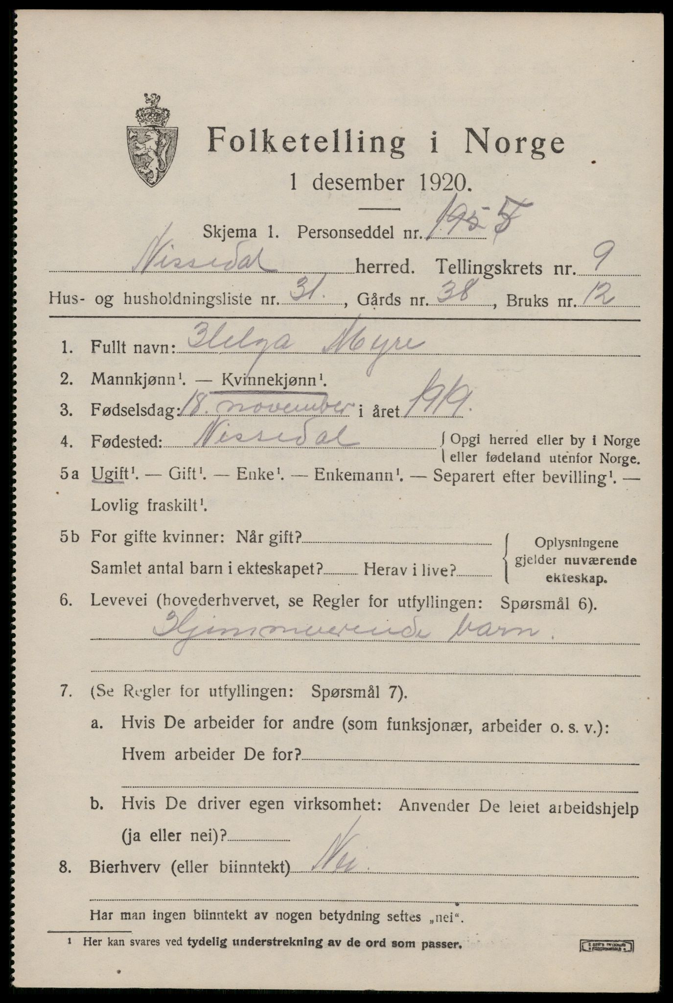 SAKO, 1920 census for Nissedal, 1920, p. 3885