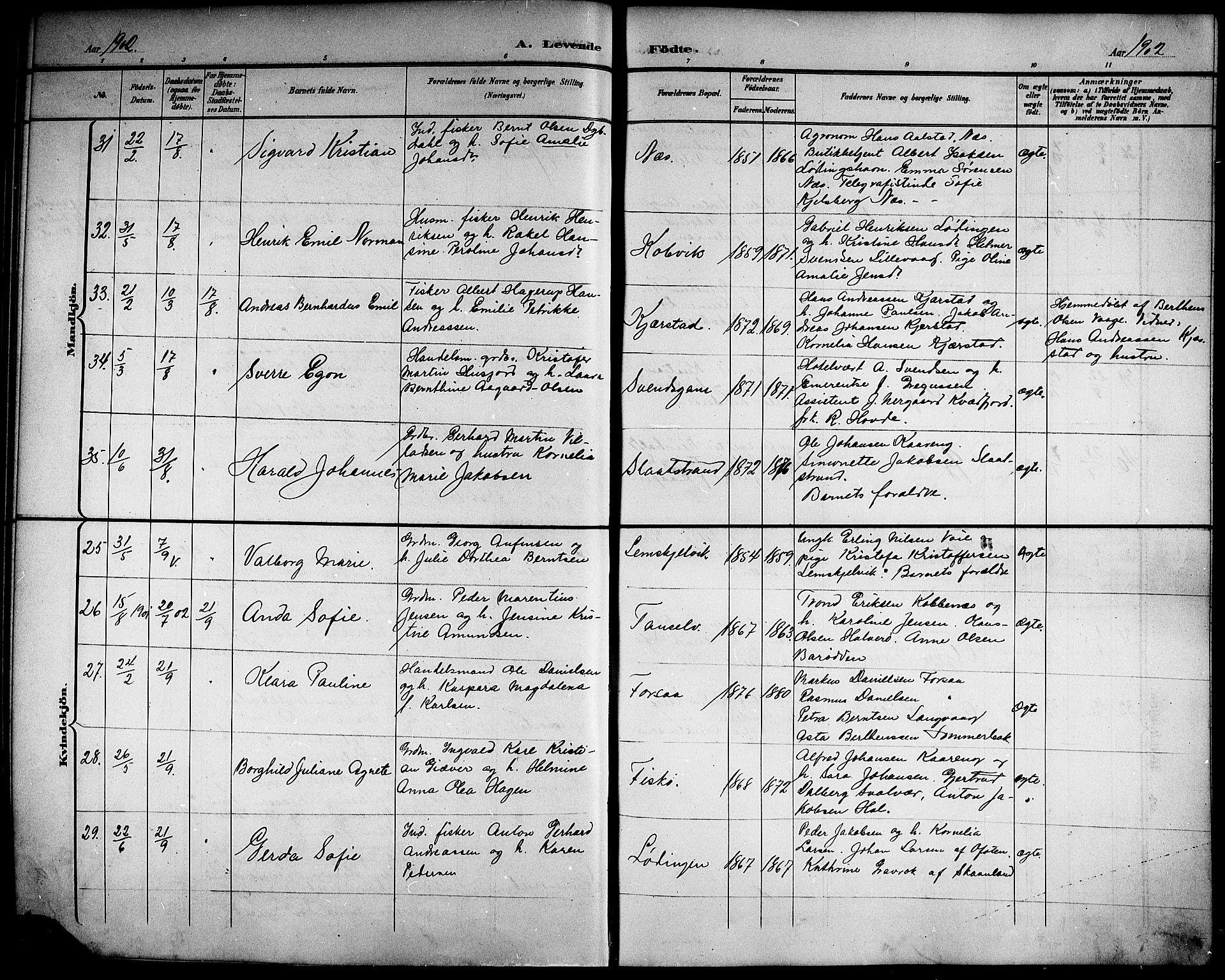 Ministerialprotokoller, klokkerbøker og fødselsregistre - Nordland, AV/SAT-A-1459/872/L1048: Parish register (copy) no. 872C04, 1898-1919