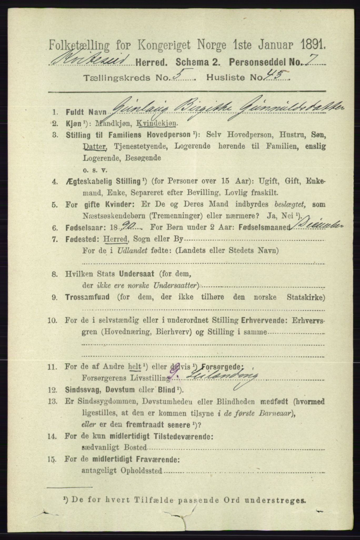 RA, 1891 census for 0829 Kviteseid, 1891, p. 1135