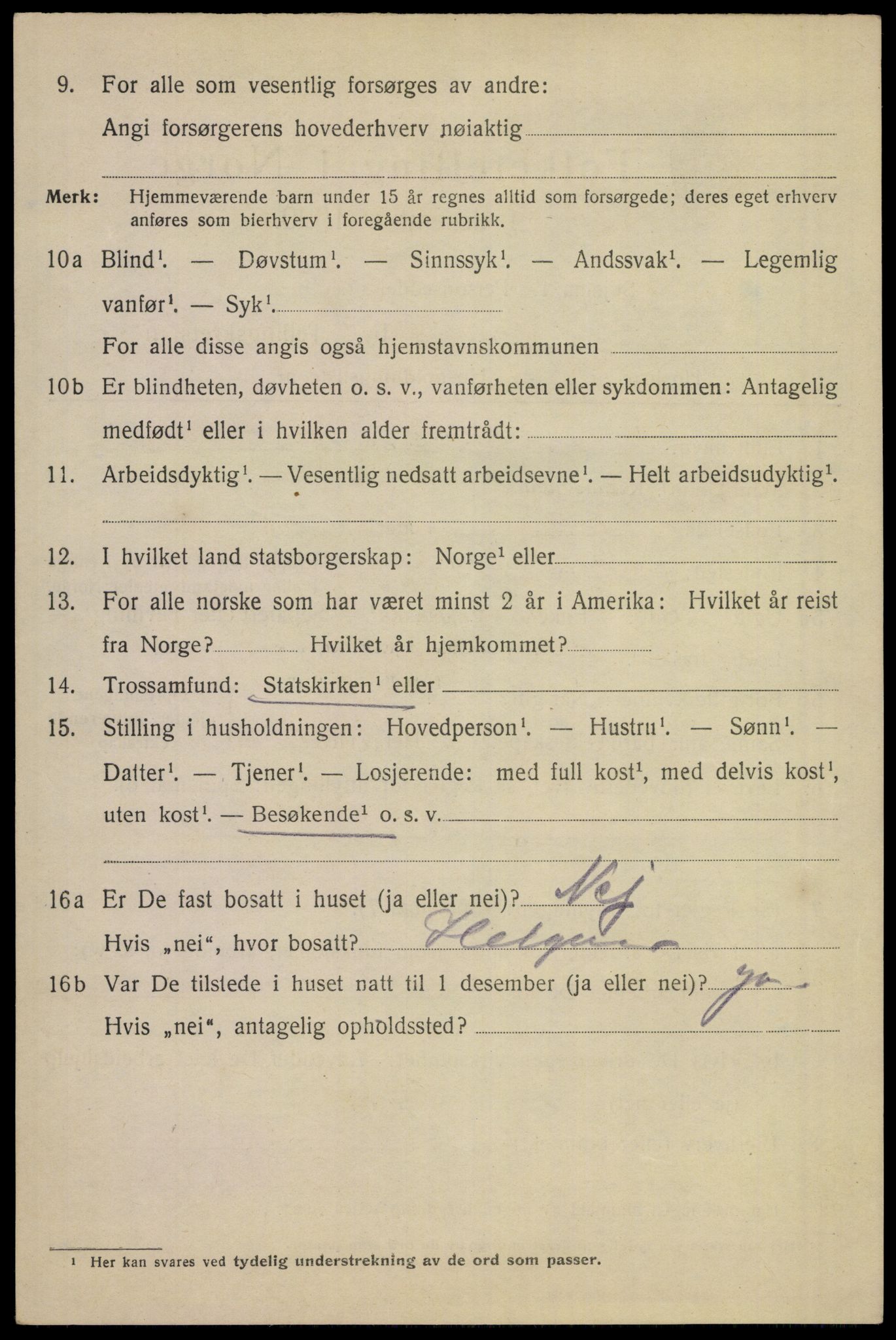 SAKO, 1920 census for Skien, 1920, p. 41015