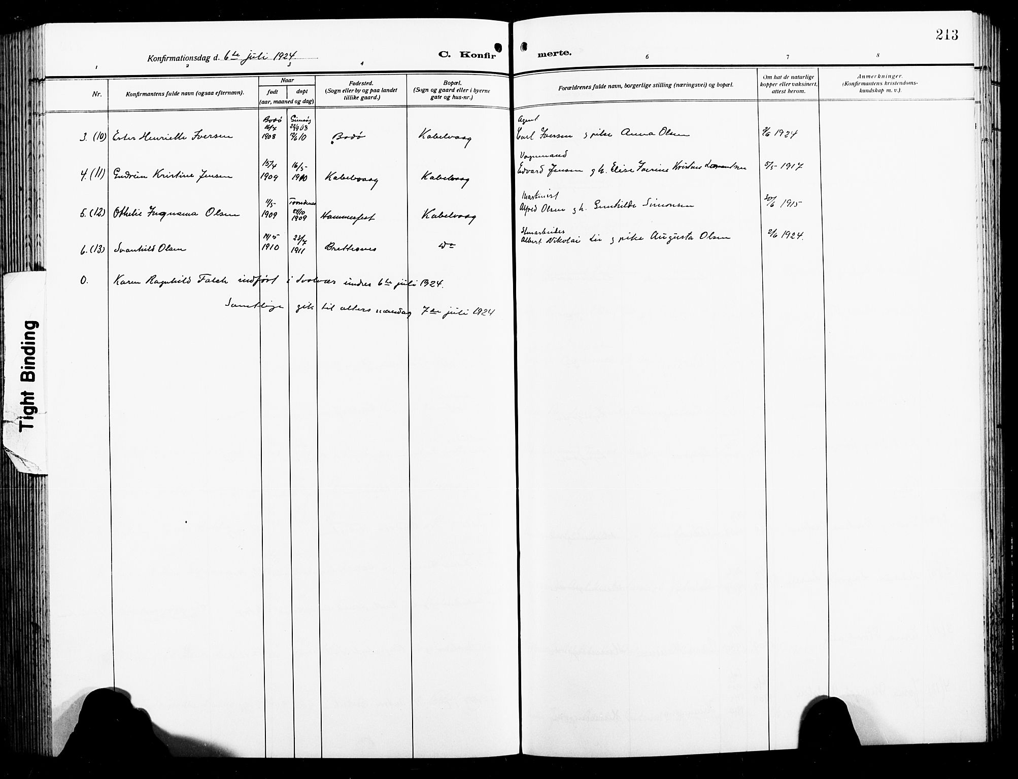 Ministerialprotokoller, klokkerbøker og fødselsregistre - Nordland, AV/SAT-A-1459/874/L1080: Parish register (copy) no. 874C09, 1915-1925, p. 213