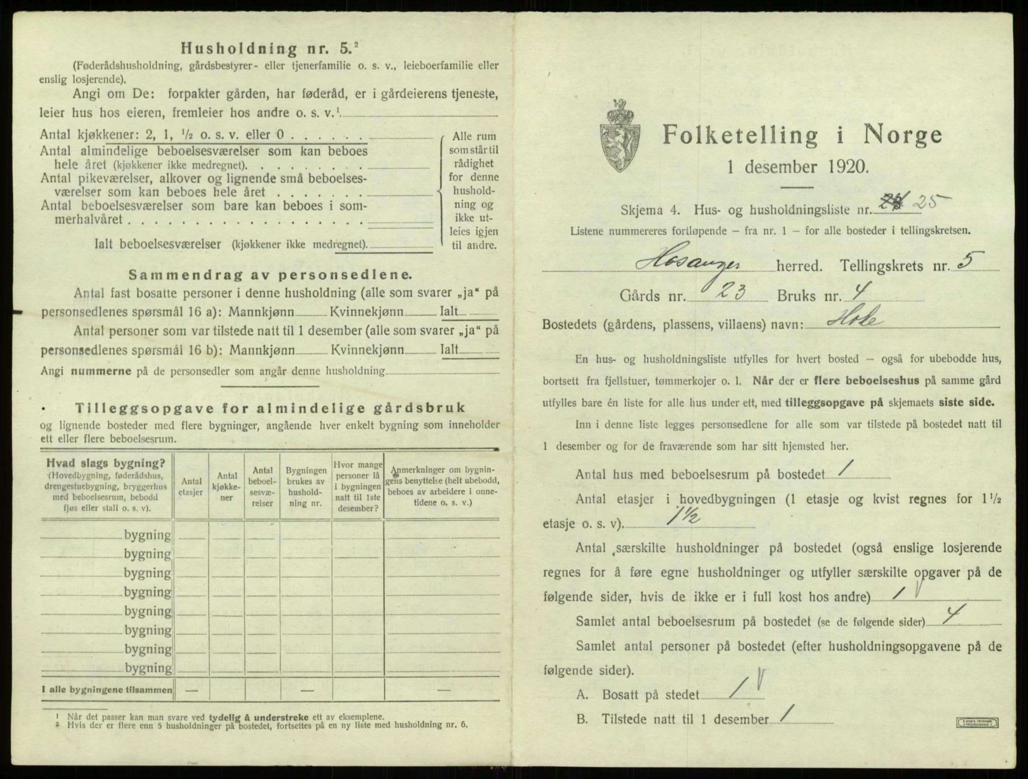 SAB, 1920 census for Hosanger, 1920, p. 313