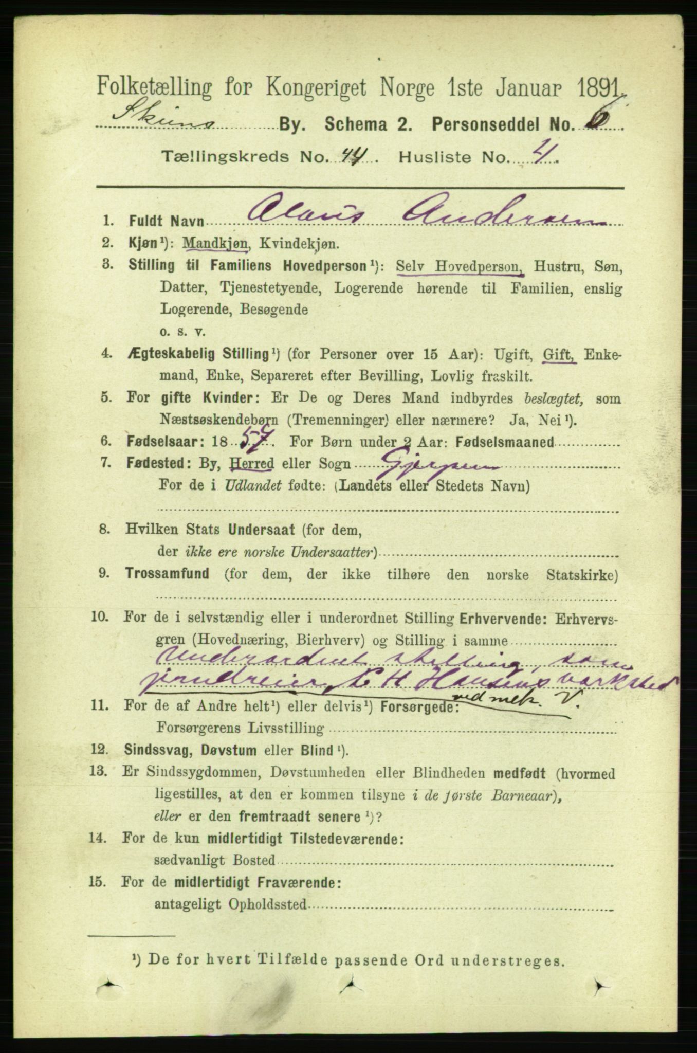 RA, 1891 census for 0806 Skien, 1891, p. 8800