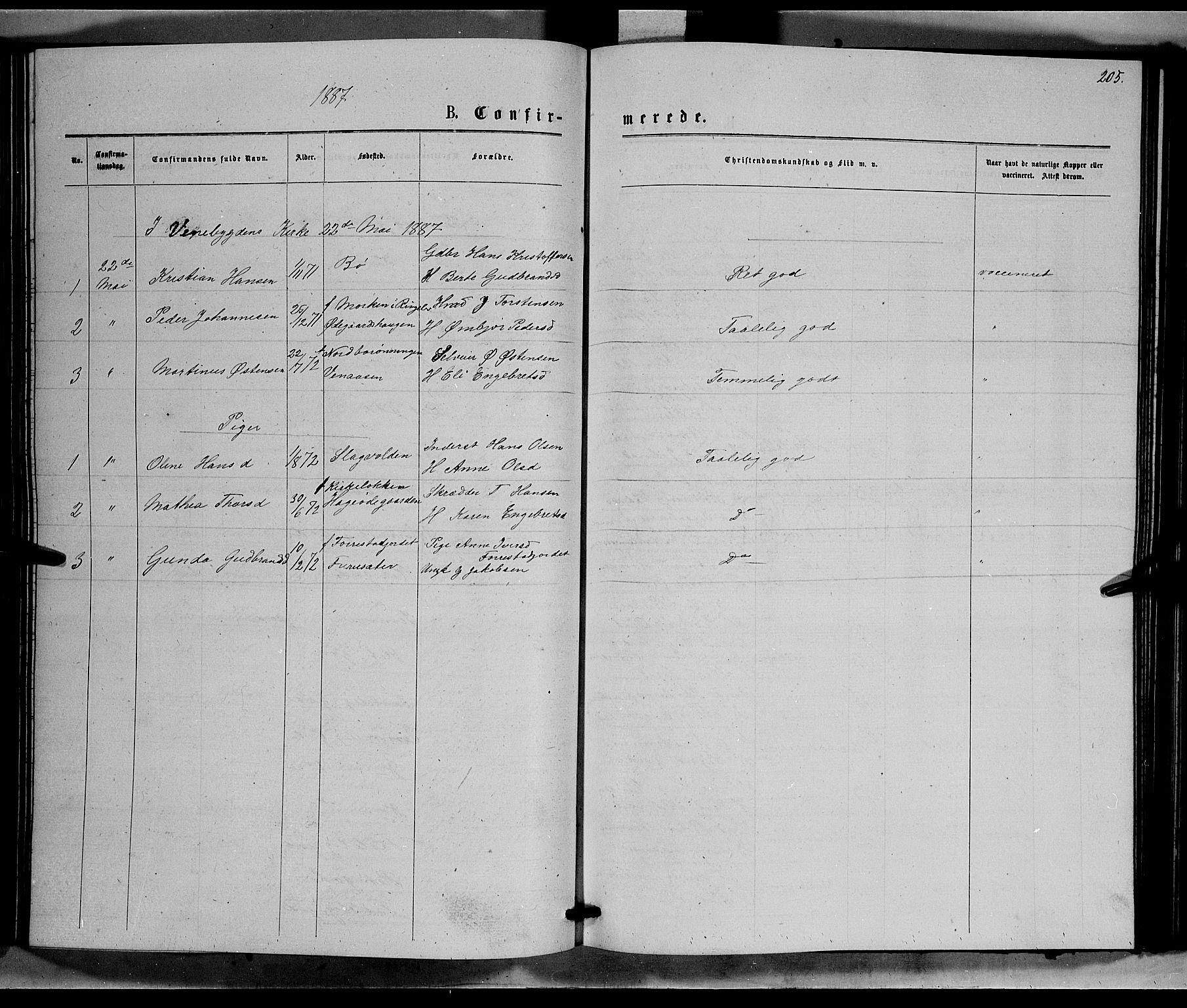 Ringebu prestekontor, SAH/PREST-082/H/Ha/Hab/L0006: Parish register (copy) no. 6, 1880-1898, p. 205