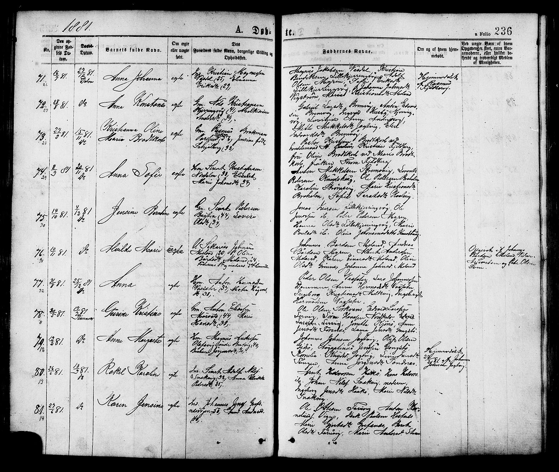 Ministerialprotokoller, klokkerbøker og fødselsregistre - Sør-Trøndelag, AV/SAT-A-1456/634/L0532: Parish register (official) no. 634A08, 1871-1881, p. 236