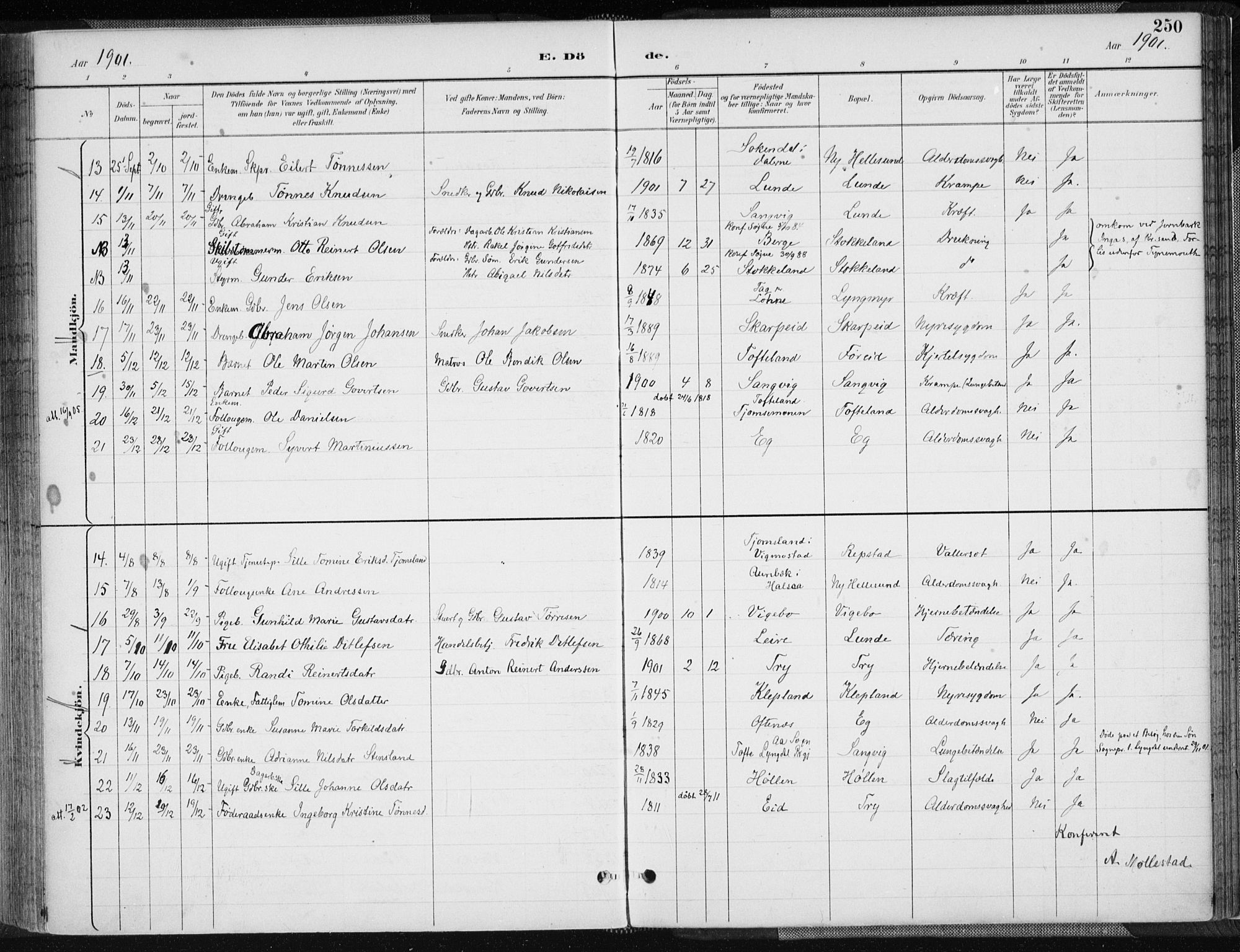 Søgne sokneprestkontor, SAK/1111-0037/F/Fa/Fab/L0013: Parish register (official) no. A 13, 1892-1911, p. 250
