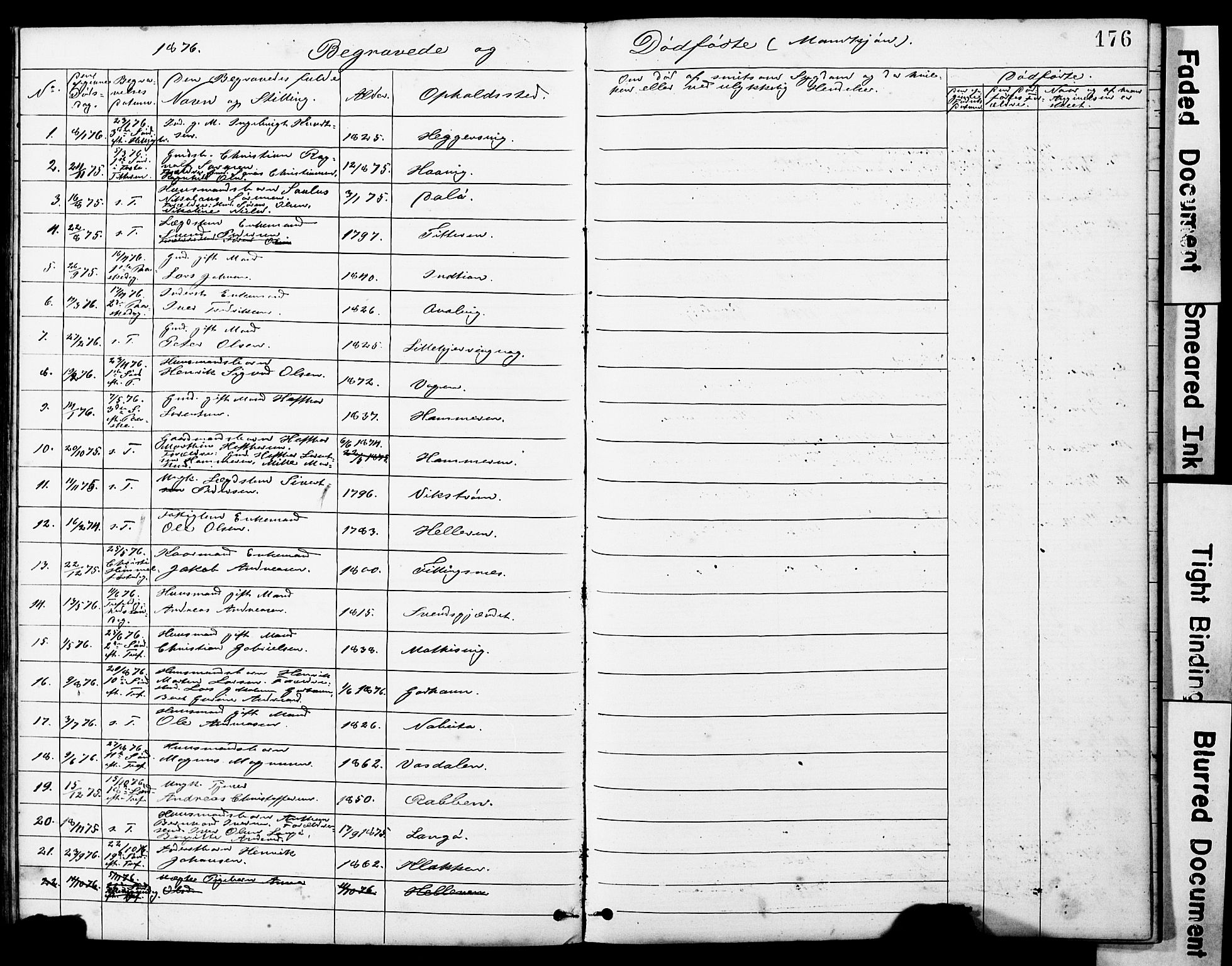 Ministerialprotokoller, klokkerbøker og fødselsregistre - Sør-Trøndelag, SAT/A-1456/634/L0541: Parish register (copy) no. 634C03, 1874-1891, p. 176