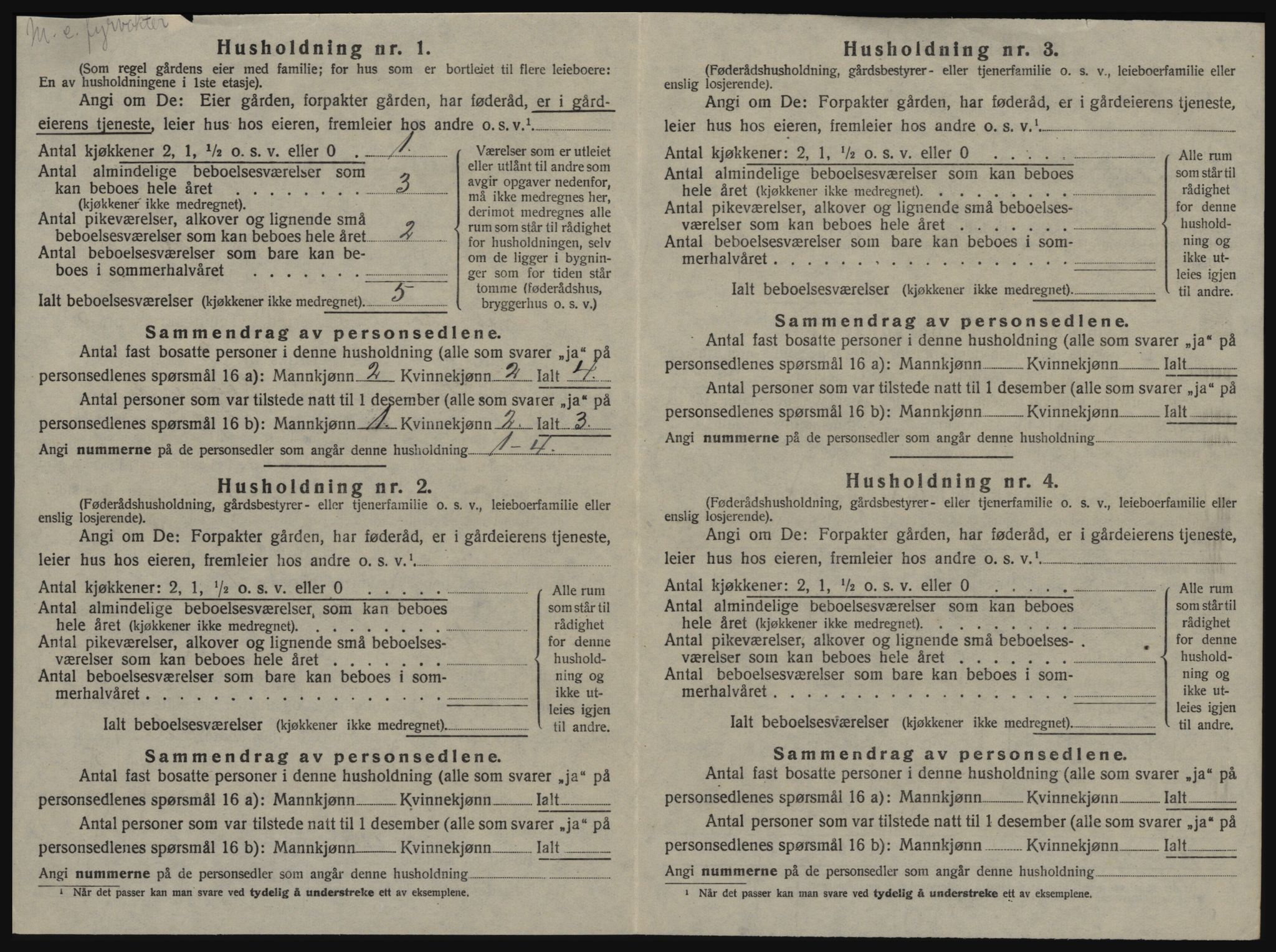 SAT, 1920 census for Nes (ST), 1920, p. 454