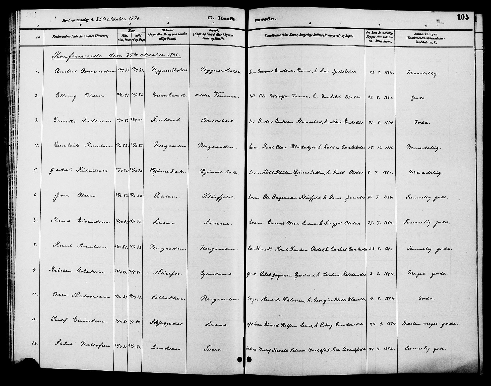 Åmli sokneprestkontor, SAK/1111-0050/F/Fb/Fbc/L0004: Parish register (copy) no. B 4, 1889-1902, p. 105