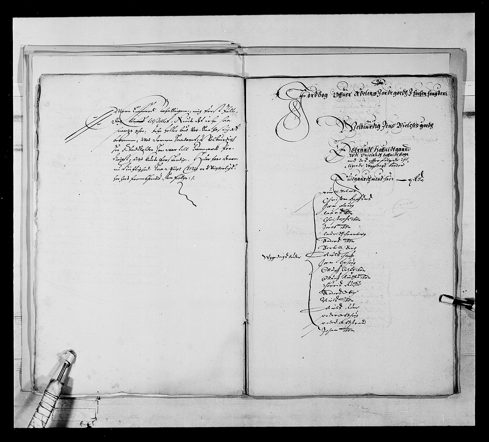 Stattholderembetet 1572-1771, RA/EA-2870/Ek/L0020/0003: Jordebøker 1633-1658: / Jordebok over adelsgods i Trondheim len, 1647, p. 4