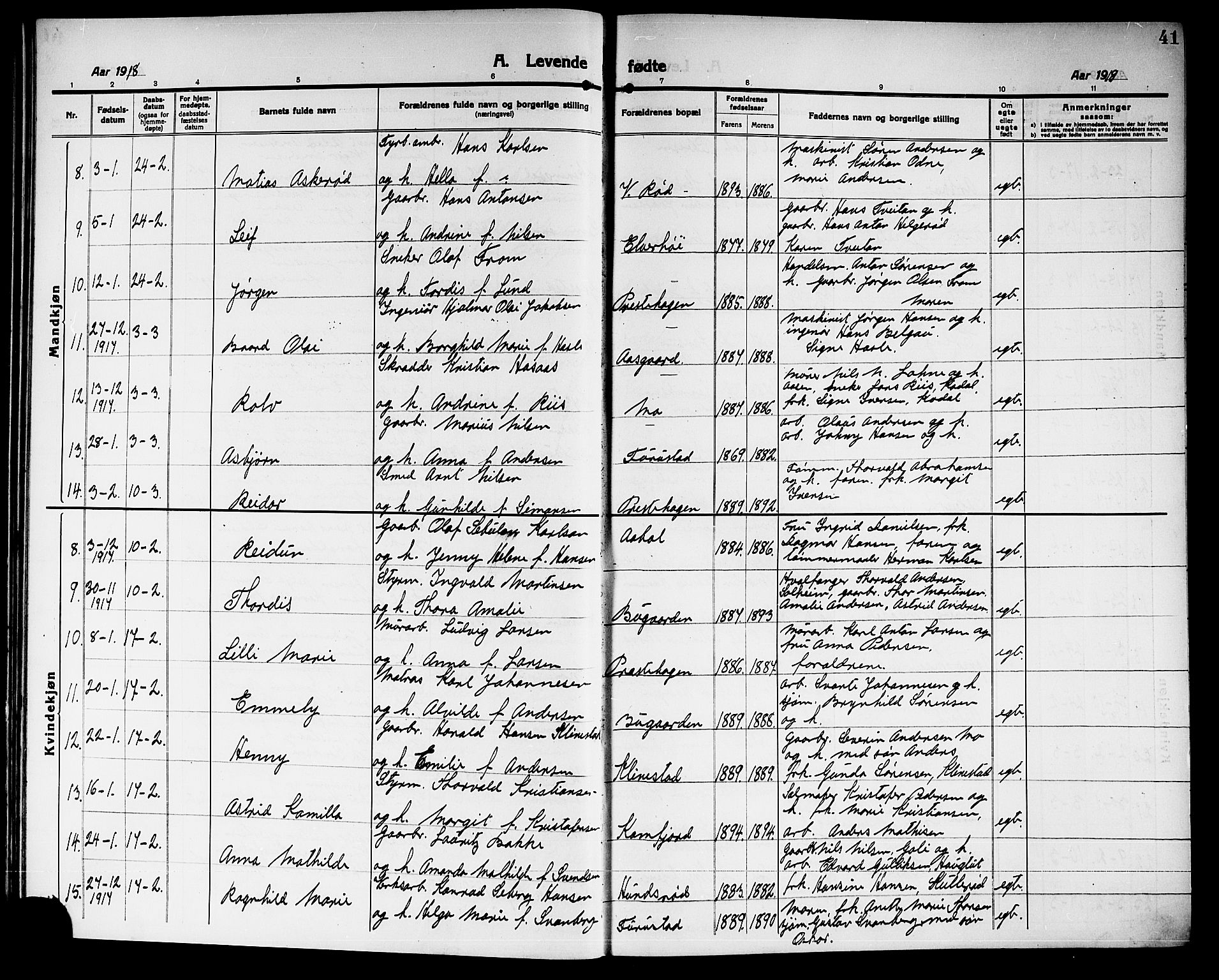 Sandar kirkebøker, AV/SAKO-A-243/G/Ga/L0003: Parish register (copy) no. 3, 1916-1922, p. 41