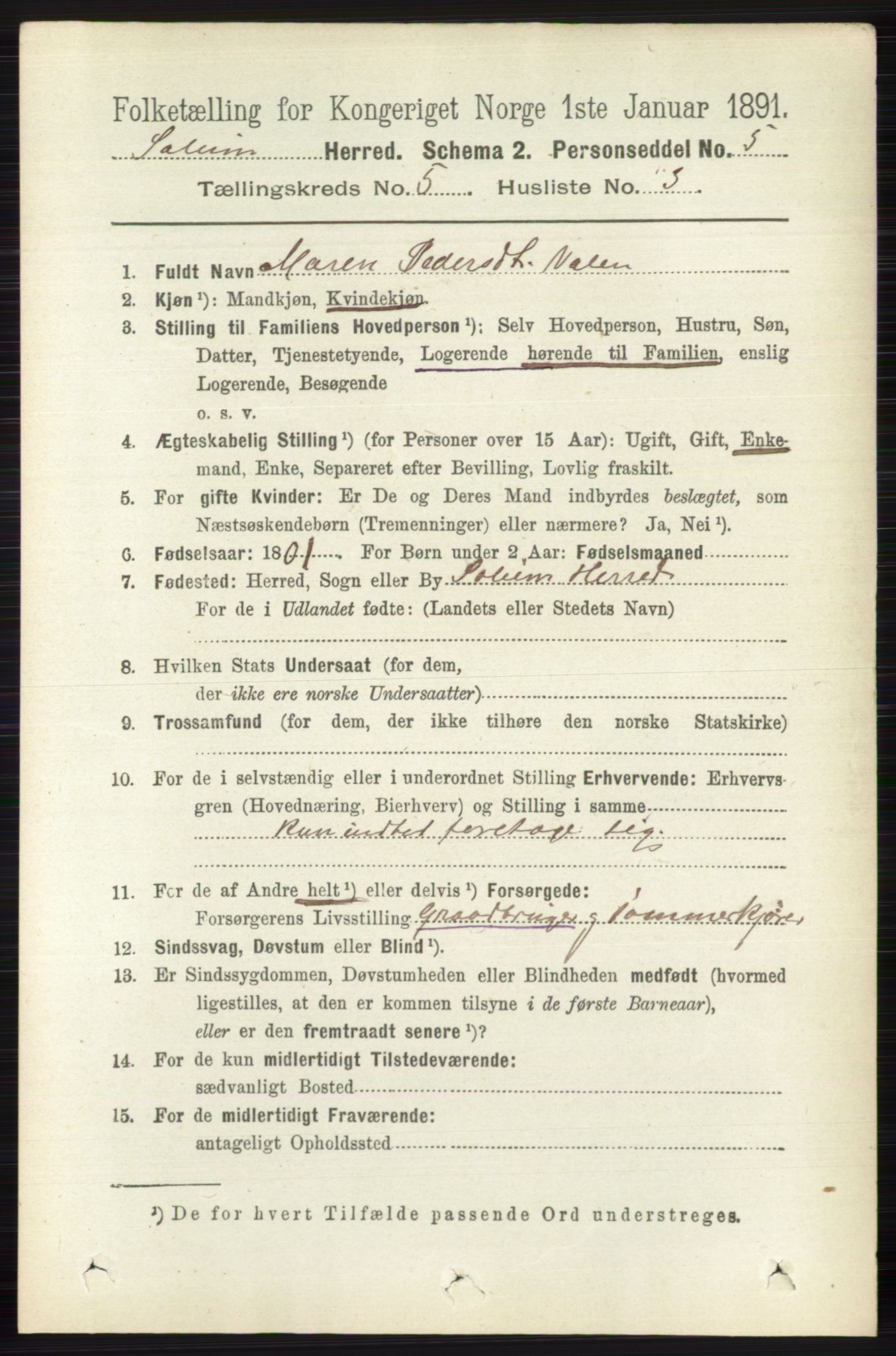 RA, 1891 census for 0818 Solum, 1891, p. 851