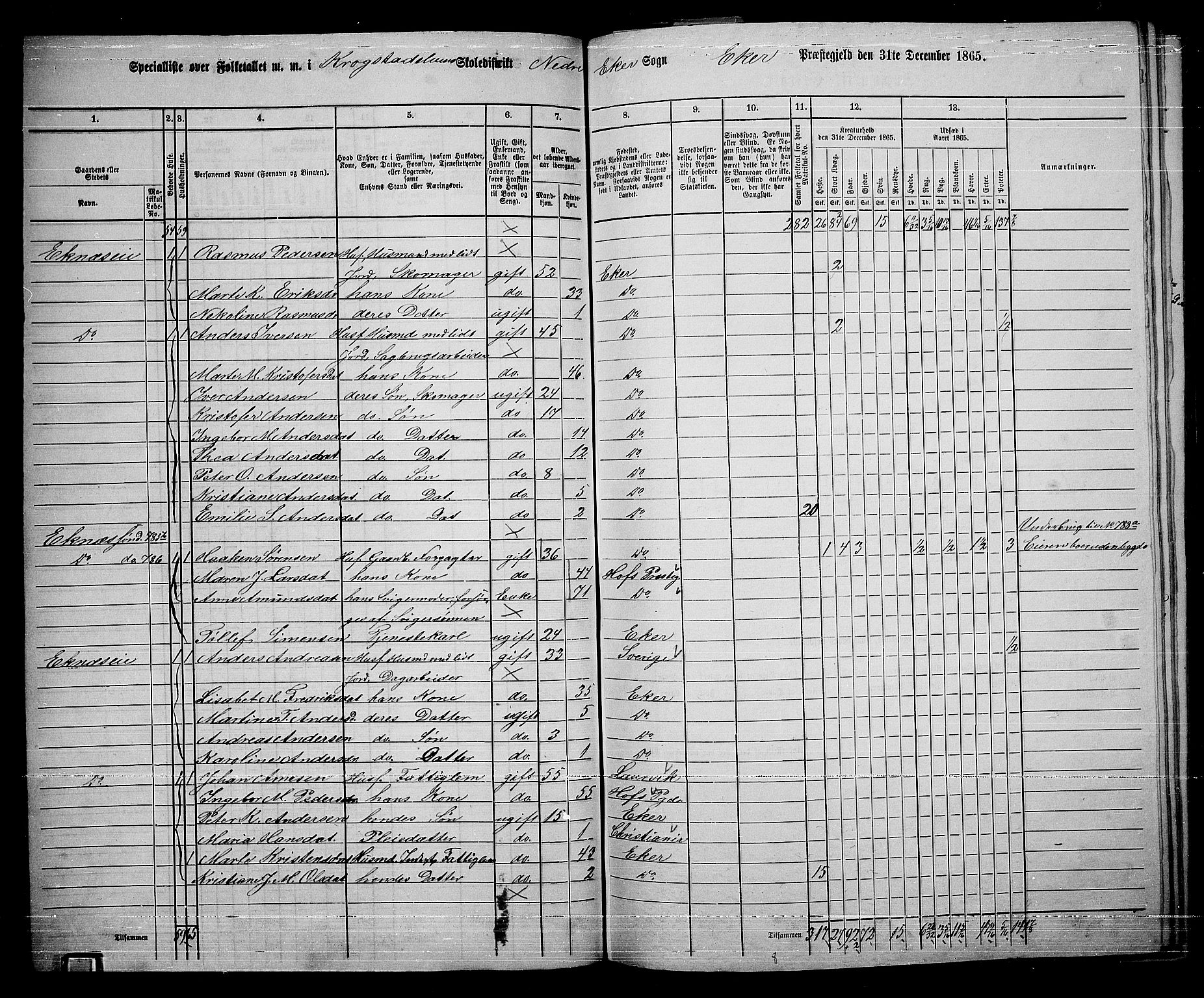 RA, 1865 census for Eiker, 1865, p. 332