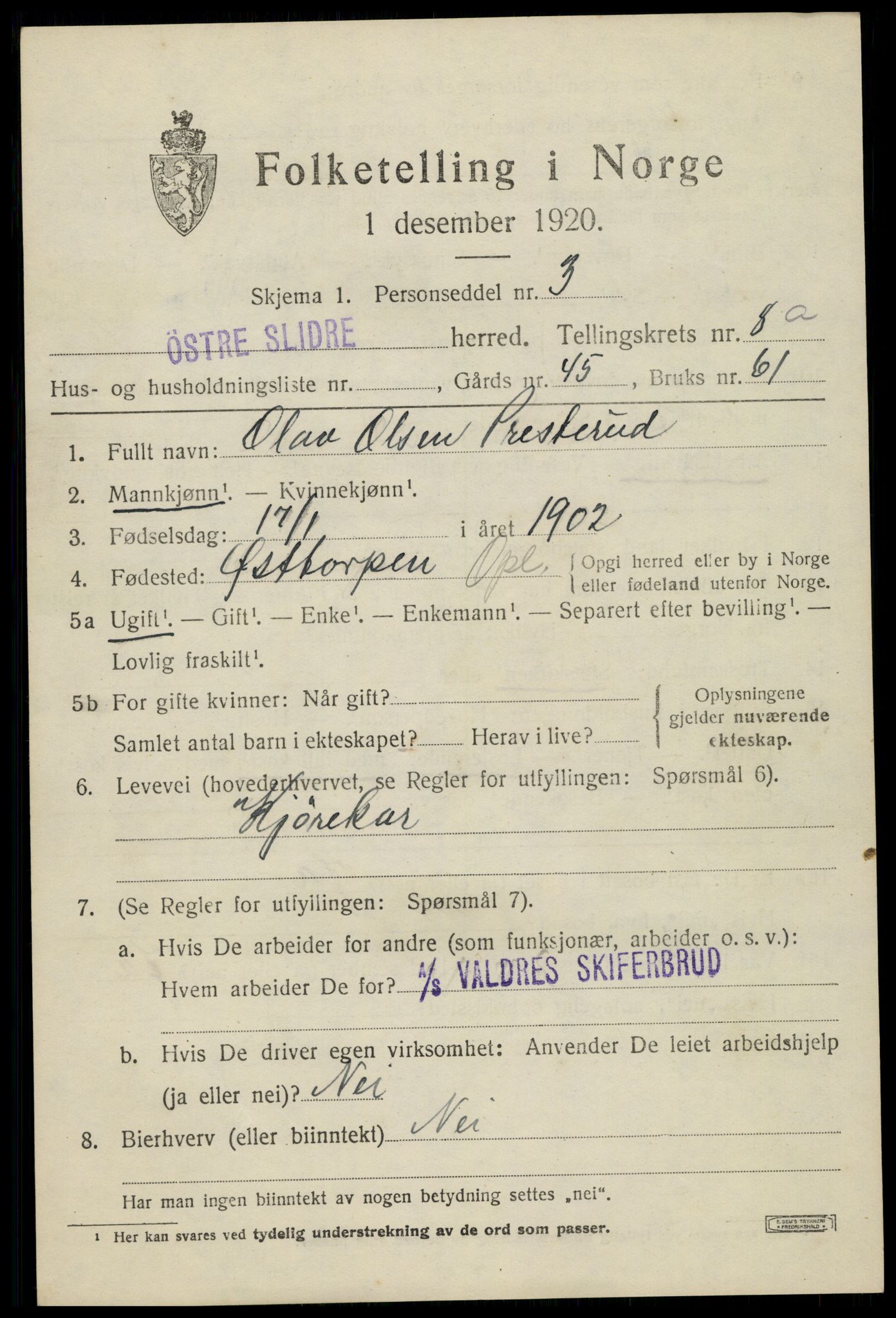 SAH, 1920 census for Øystre Slidre, 1920, p. 5307