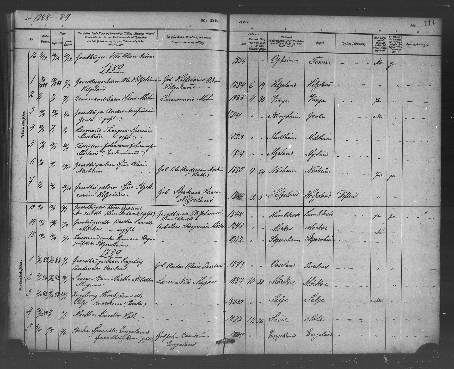 Vossestrand Sokneprestembete, AV/SAB-A-79101/H/Hab: Parish register (copy) no. B 3, 1880-1907, p. 114