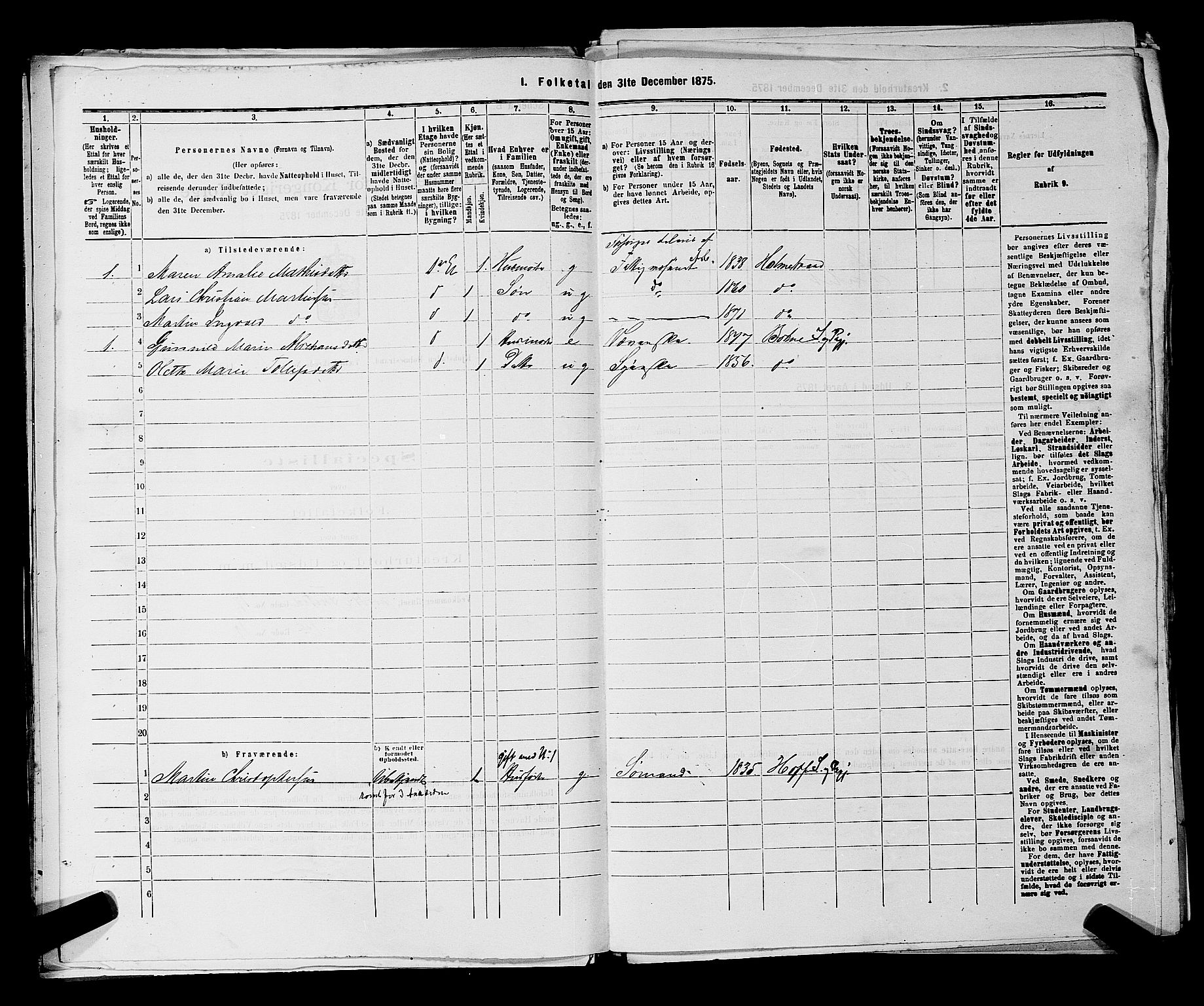 SAKO, 1875 census for 0702P Holmestrand, 1875, p. 106