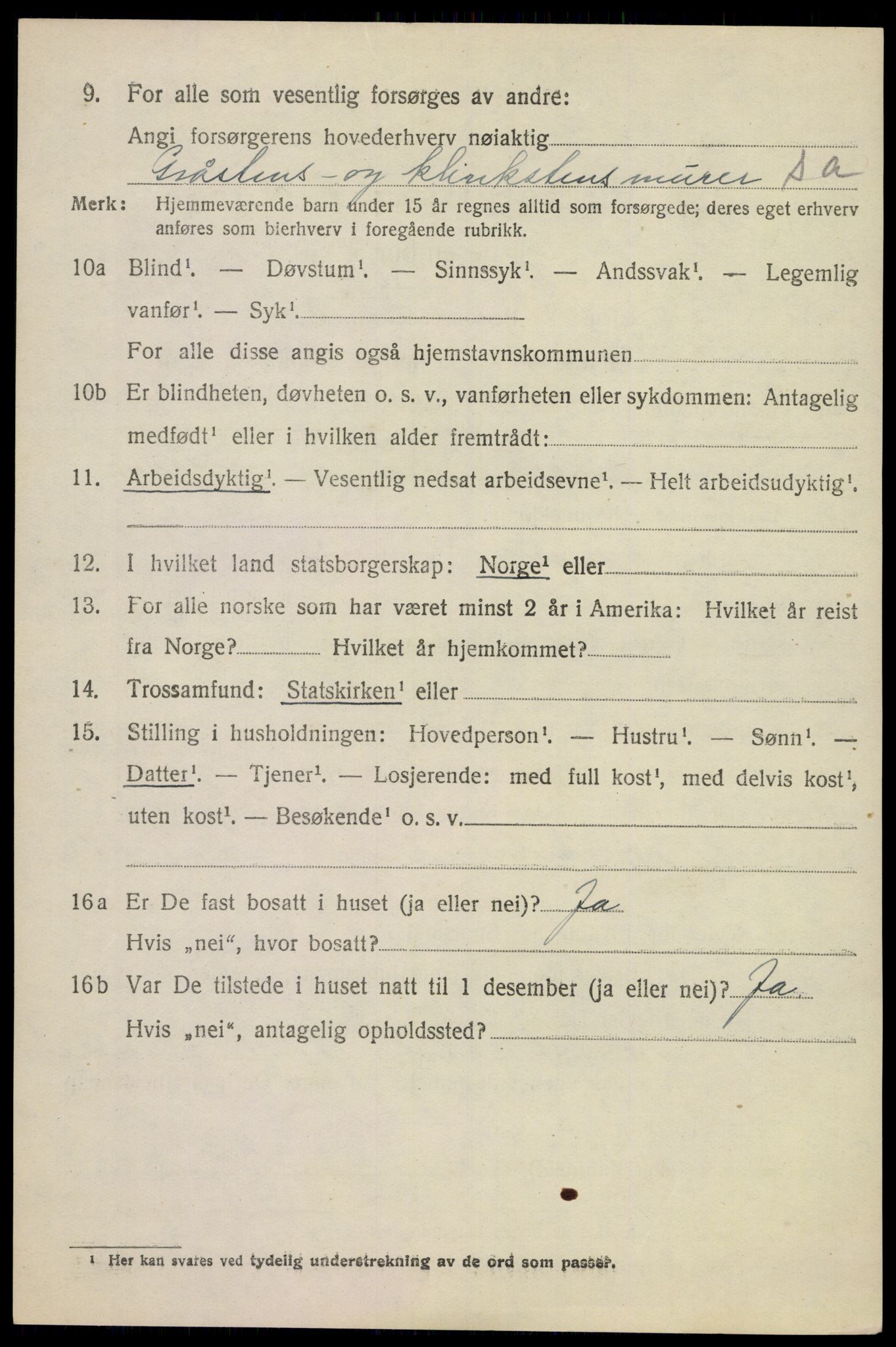 SAKO, 1920 census for Nøtterøy, 1920, p. 4074