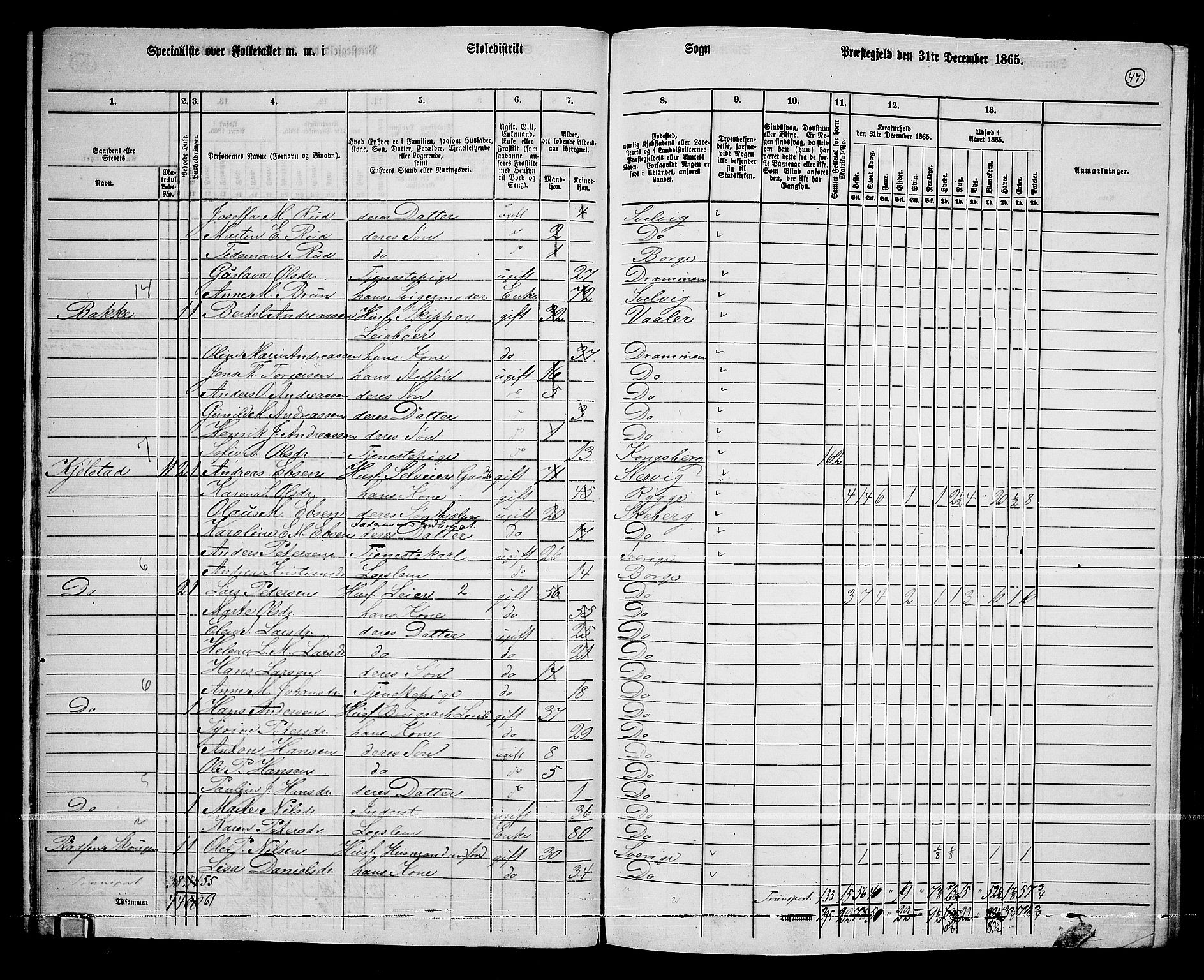 RA, 1865 census for Borge, 1865, p. 45