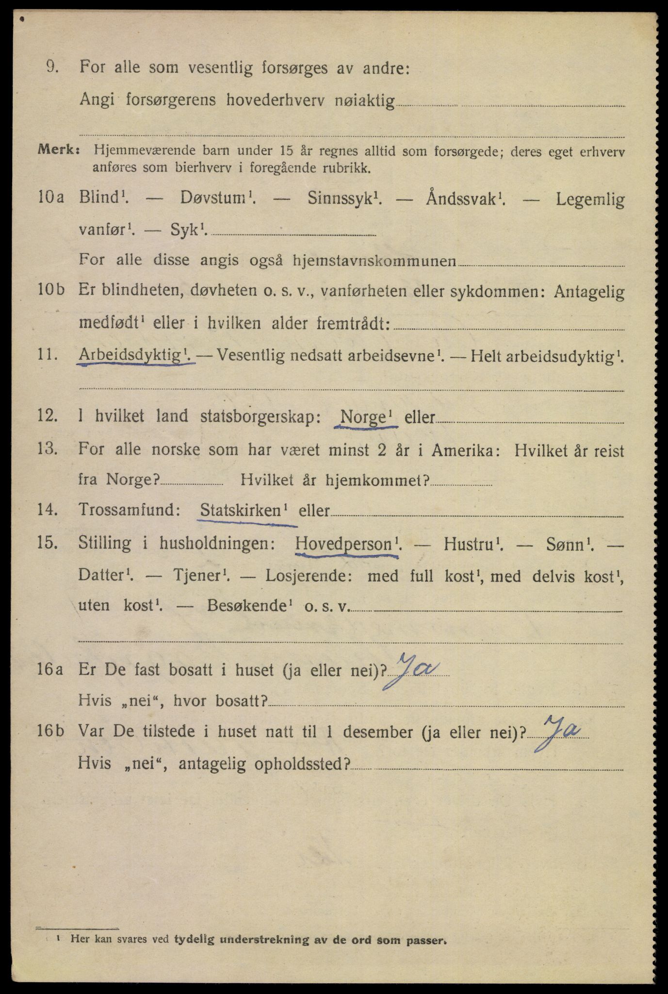 SAKO, 1920 census for Skien, 1920, p. 25317