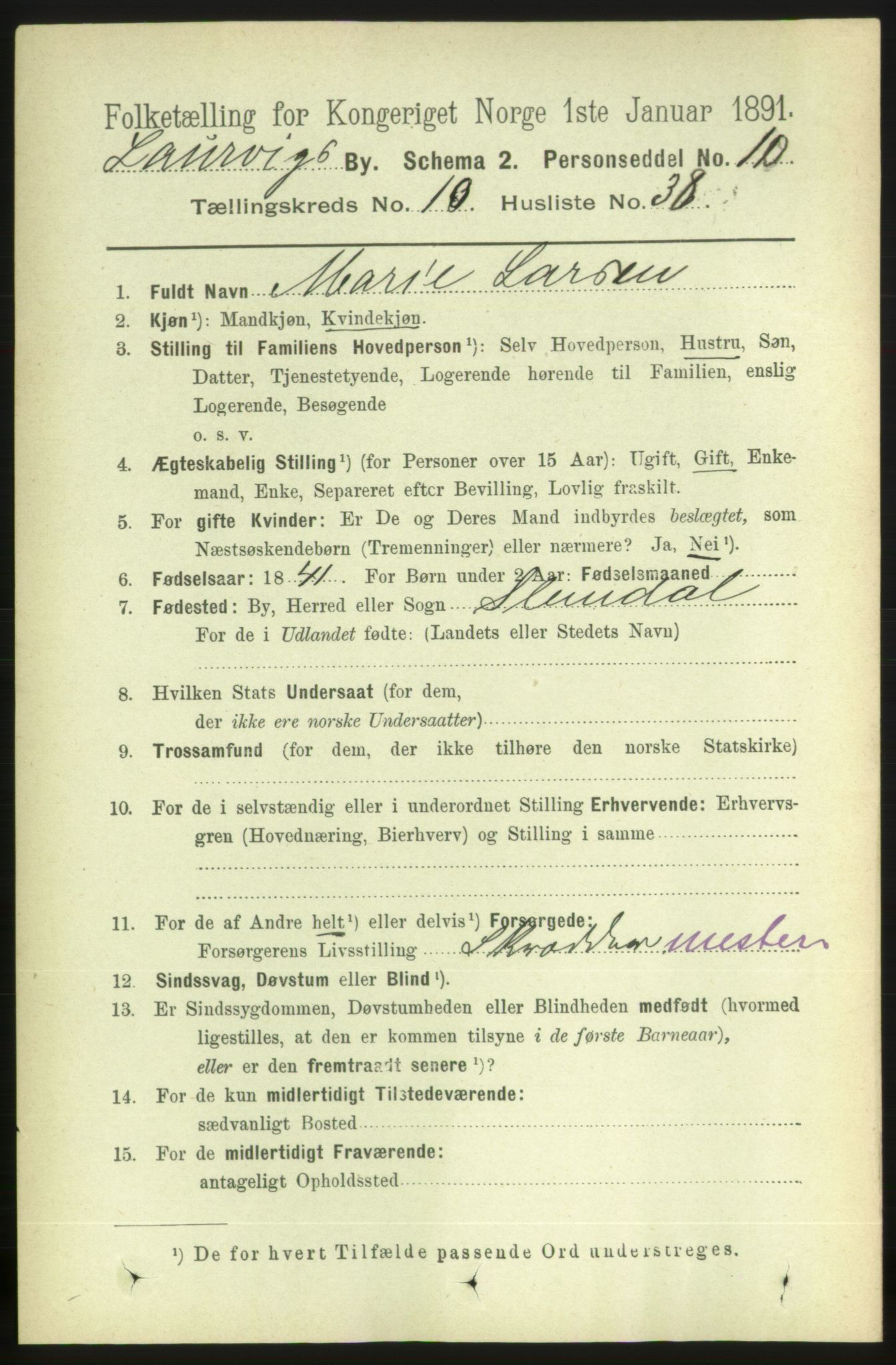 RA, 1891 census for 0707 Larvik, 1891, p. 9408