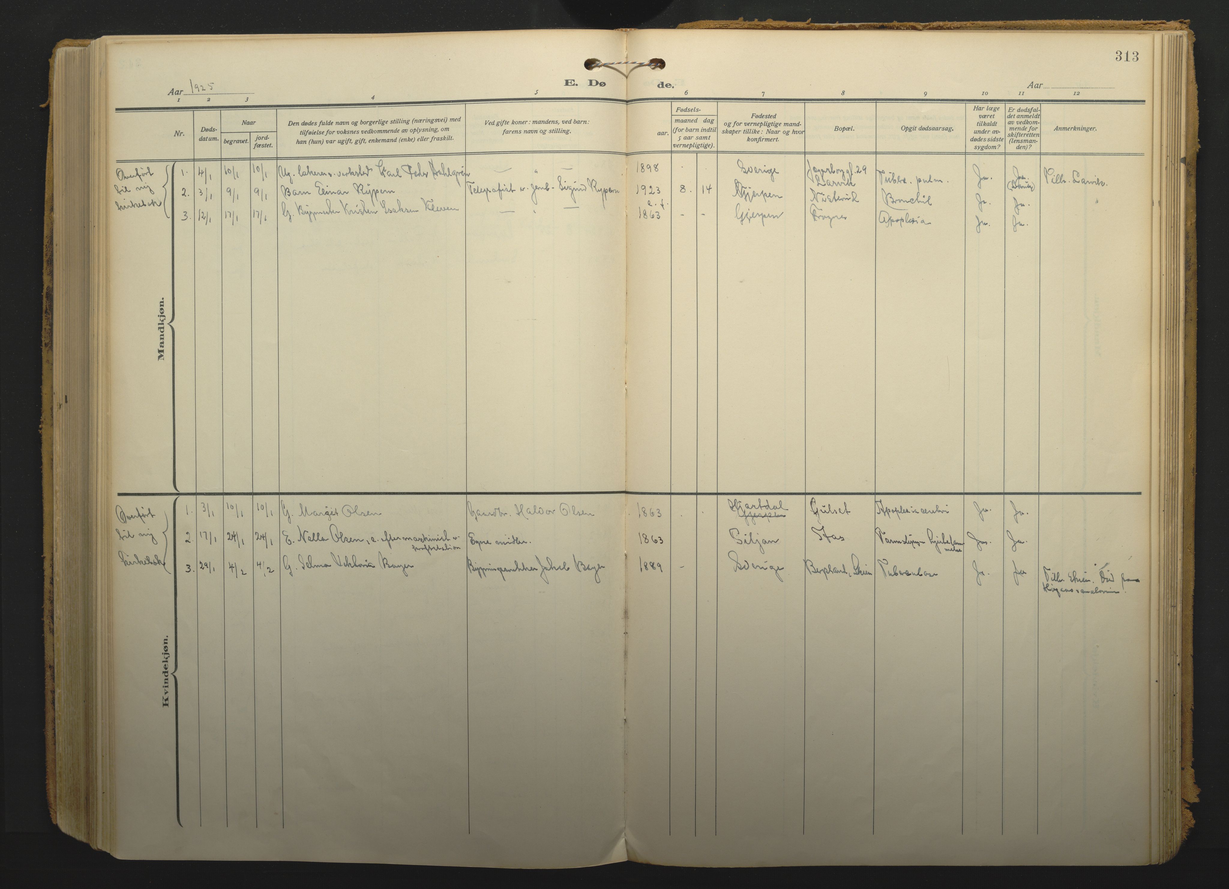 Gjerpen kirkebøker, SAKO/A-265/F/Fa/L0013: Parish register (official) no. I 13, 1914-1924, p. 313