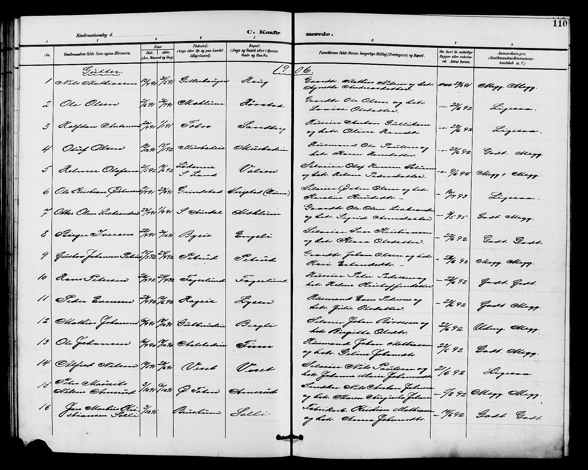 Vardal prestekontor, SAH/PREST-100/H/Ha/Hab/L0011: Parish register (copy) no. 11, 1899-1913, p. 110