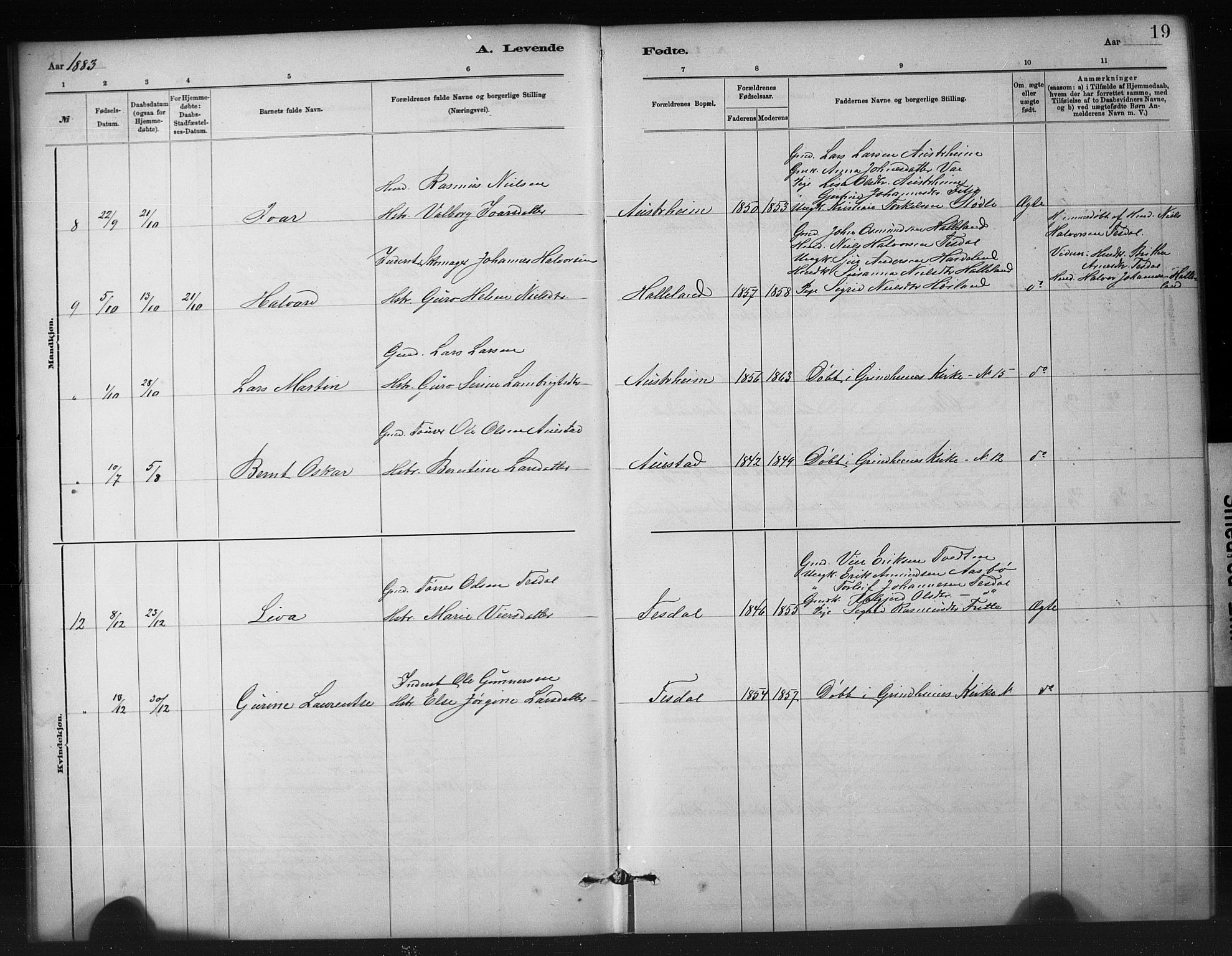 Etne sokneprestembete, SAB/A-75001/H/Hab: Parish register (copy) no. A 5, 1879-1896, p. 19