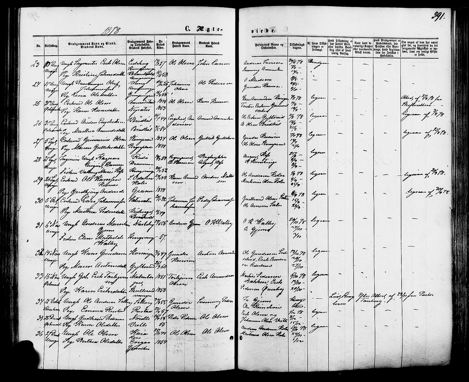 Vinger prestekontor, AV/SAH-PREST-024/H/Ha/Haa/L0012: Parish register (official) no. 12, 1871-1880, p. 391