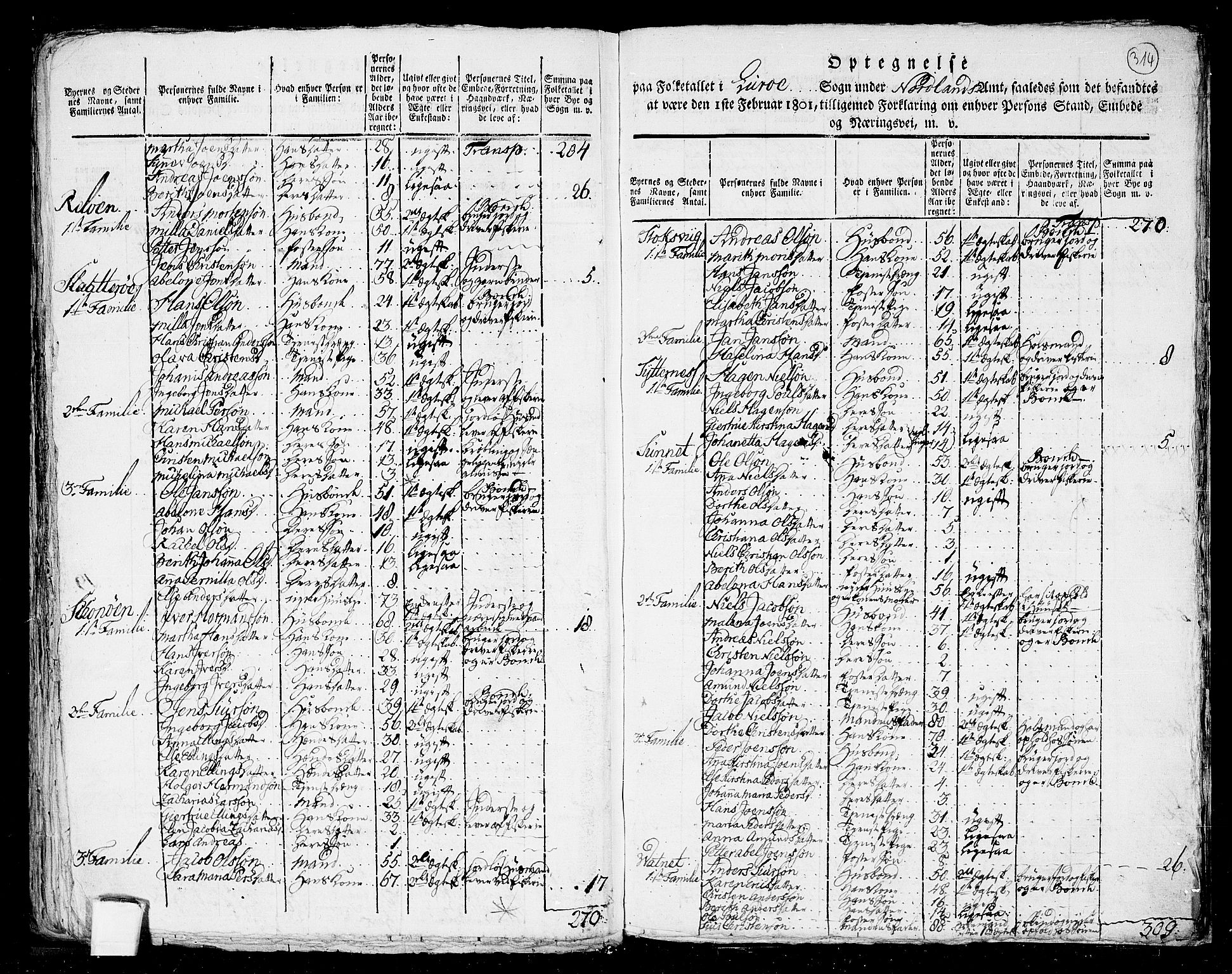 RA, 1801 census for 1836P Rødøy, 1801, p. 313b-314a