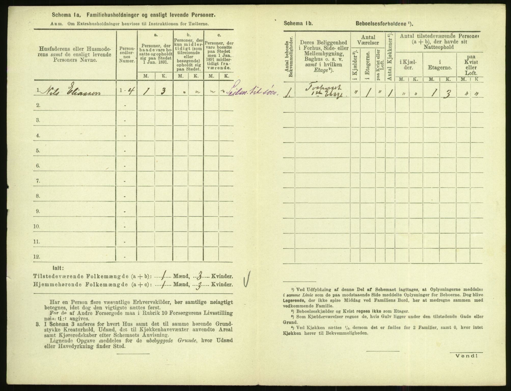 RA, 1891 census for 1002 Mandal, 1891, p. 244