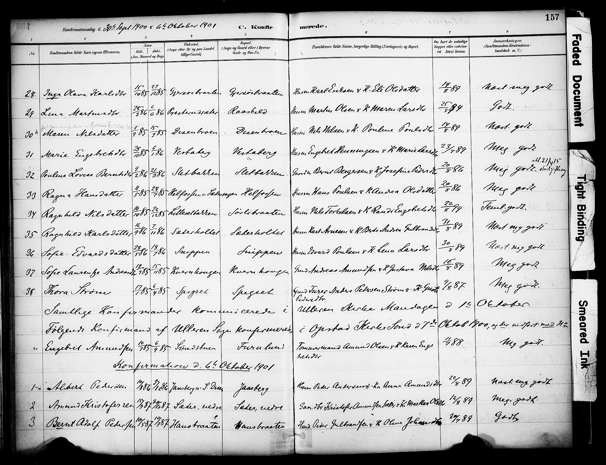 Sør-Odal prestekontor, AV/SAH-PREST-030/H/Ha/Haa/L0008: Parish register (official) no. 8, 1886-1922, p. 157