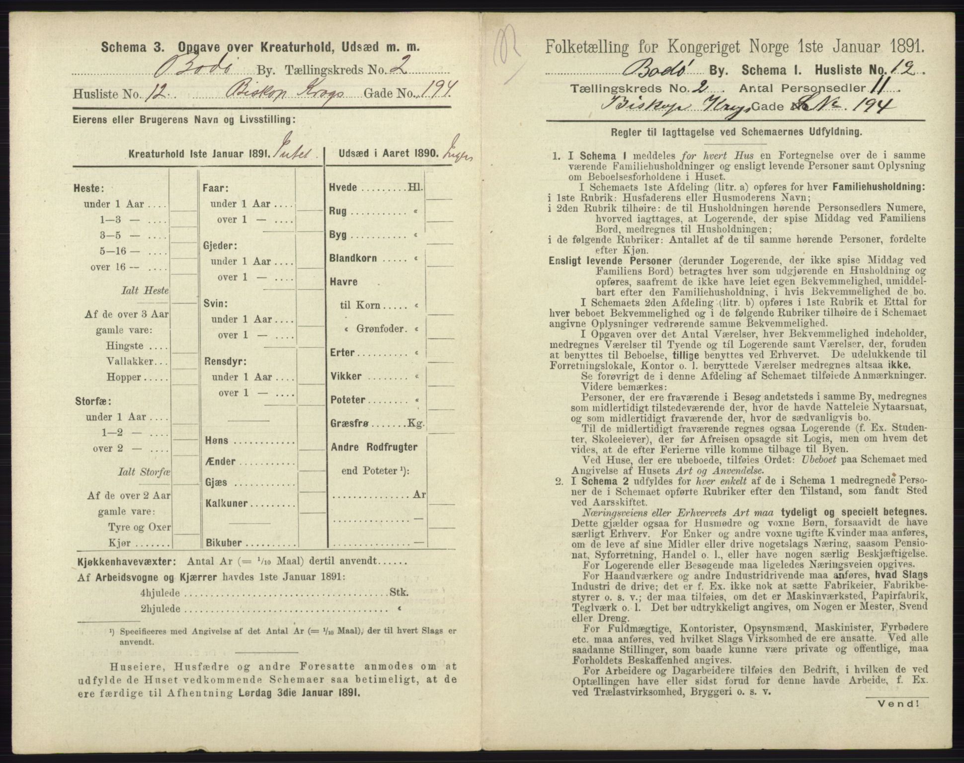 RA, 1891 census for 1804 Bodø, 1891, p. 872