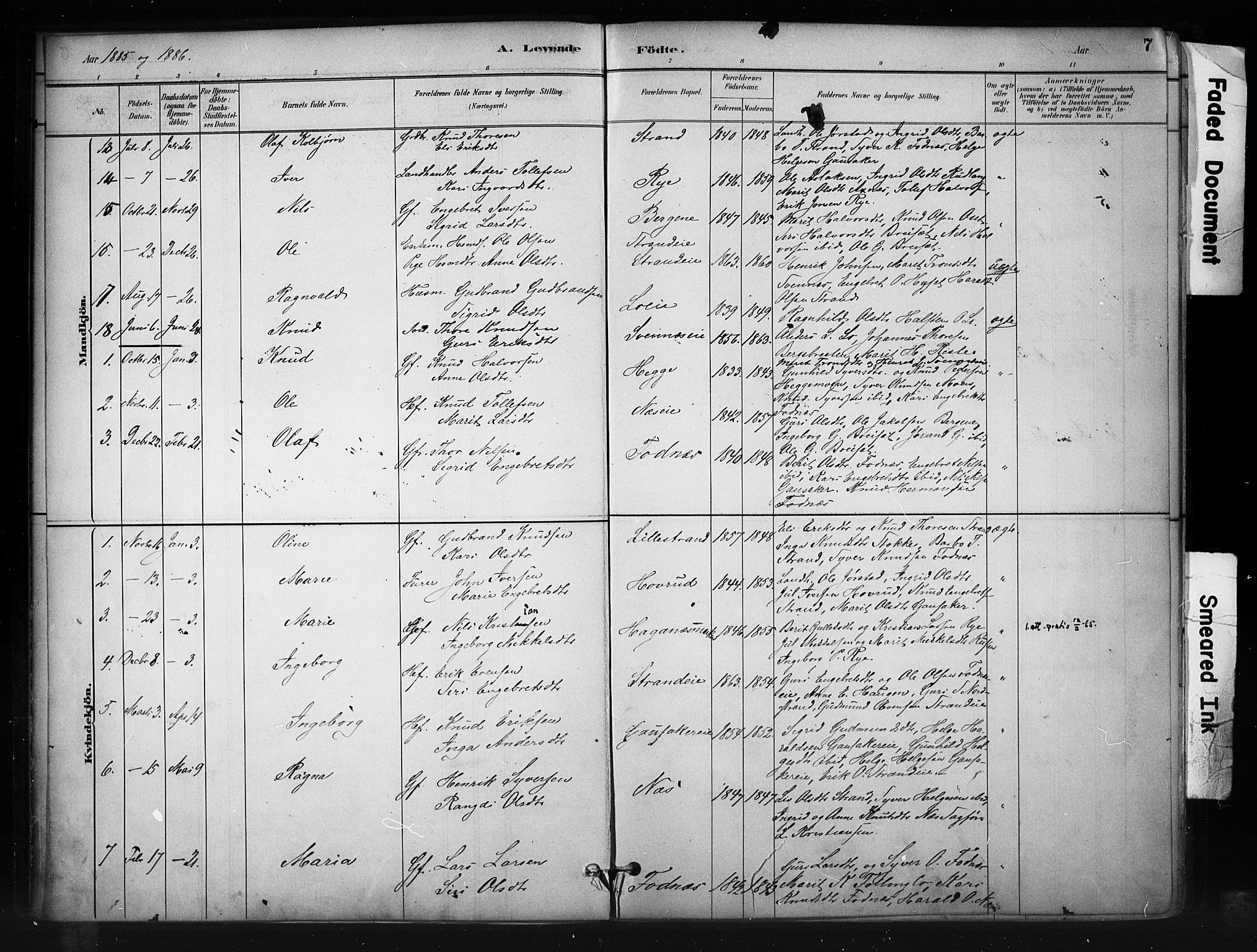 Nord-Aurdal prestekontor, SAH/PREST-132/H/Ha/Haa/L0010: Parish register (official) no. 10, 1883-1896, p. 7