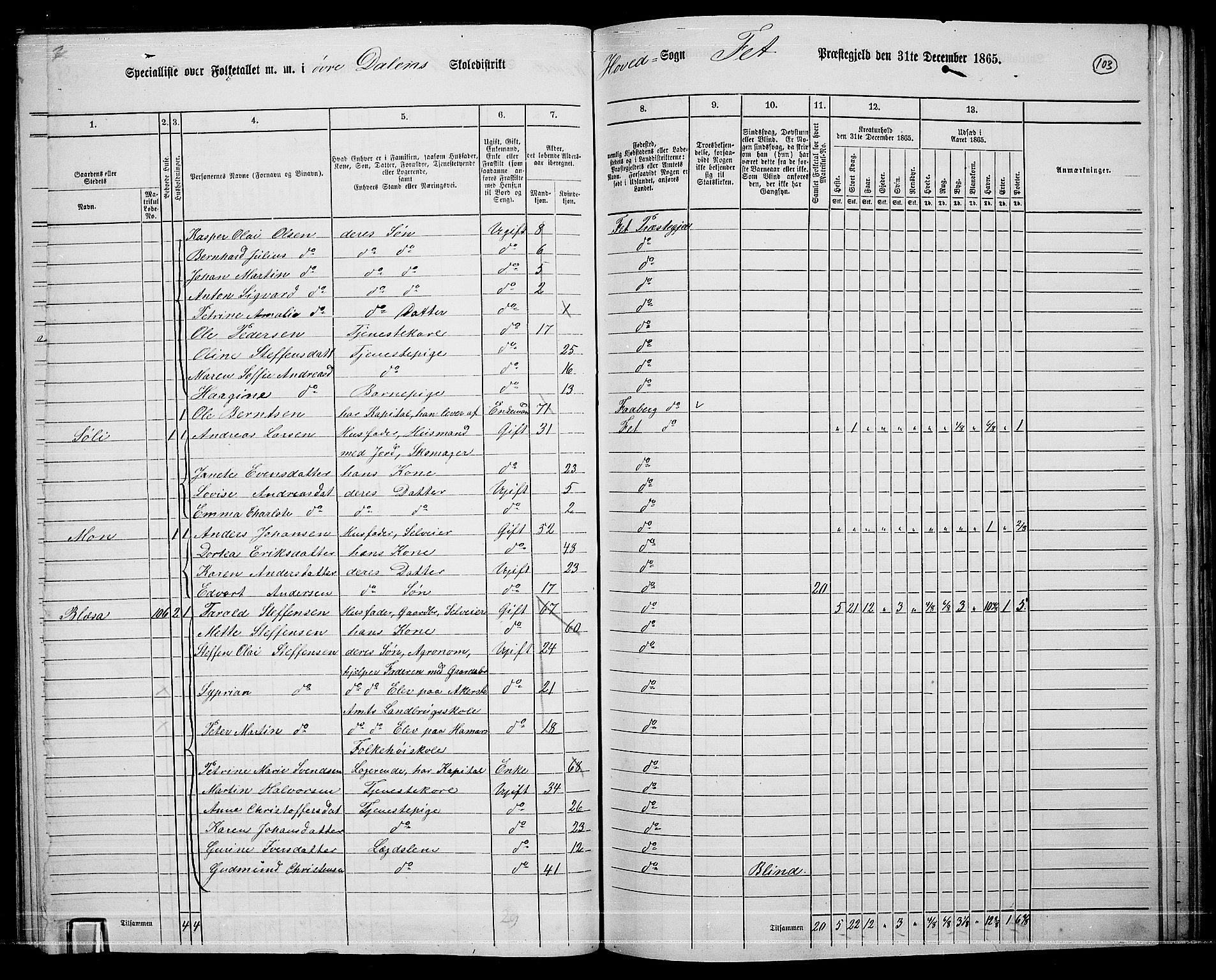 RA, 1865 census for Fet, 1865, p. 97