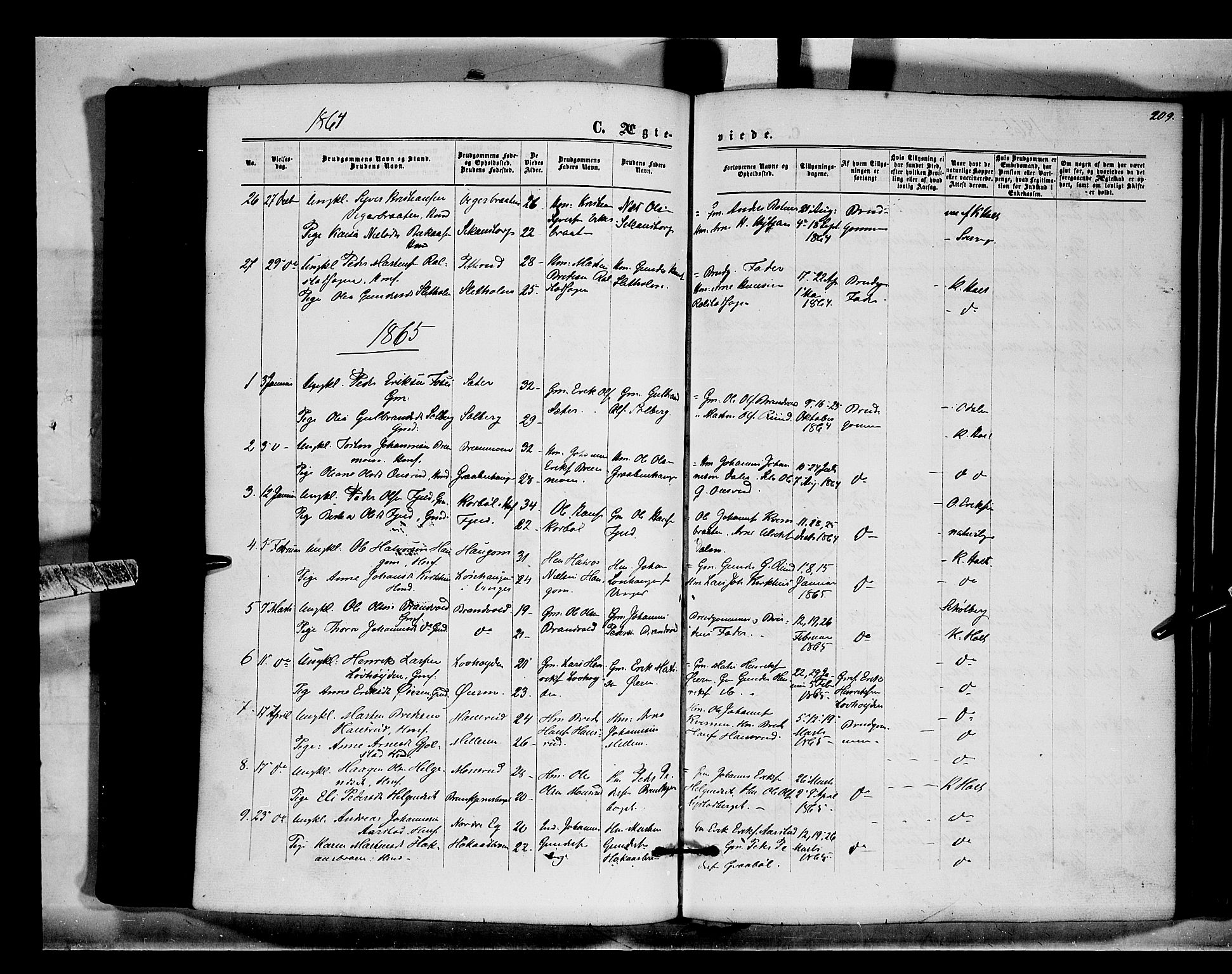 Brandval prestekontor, SAH/PREST-034/H/Ha/Haa/L0001: Parish register (official) no. 1, 1864-1879, p. 209