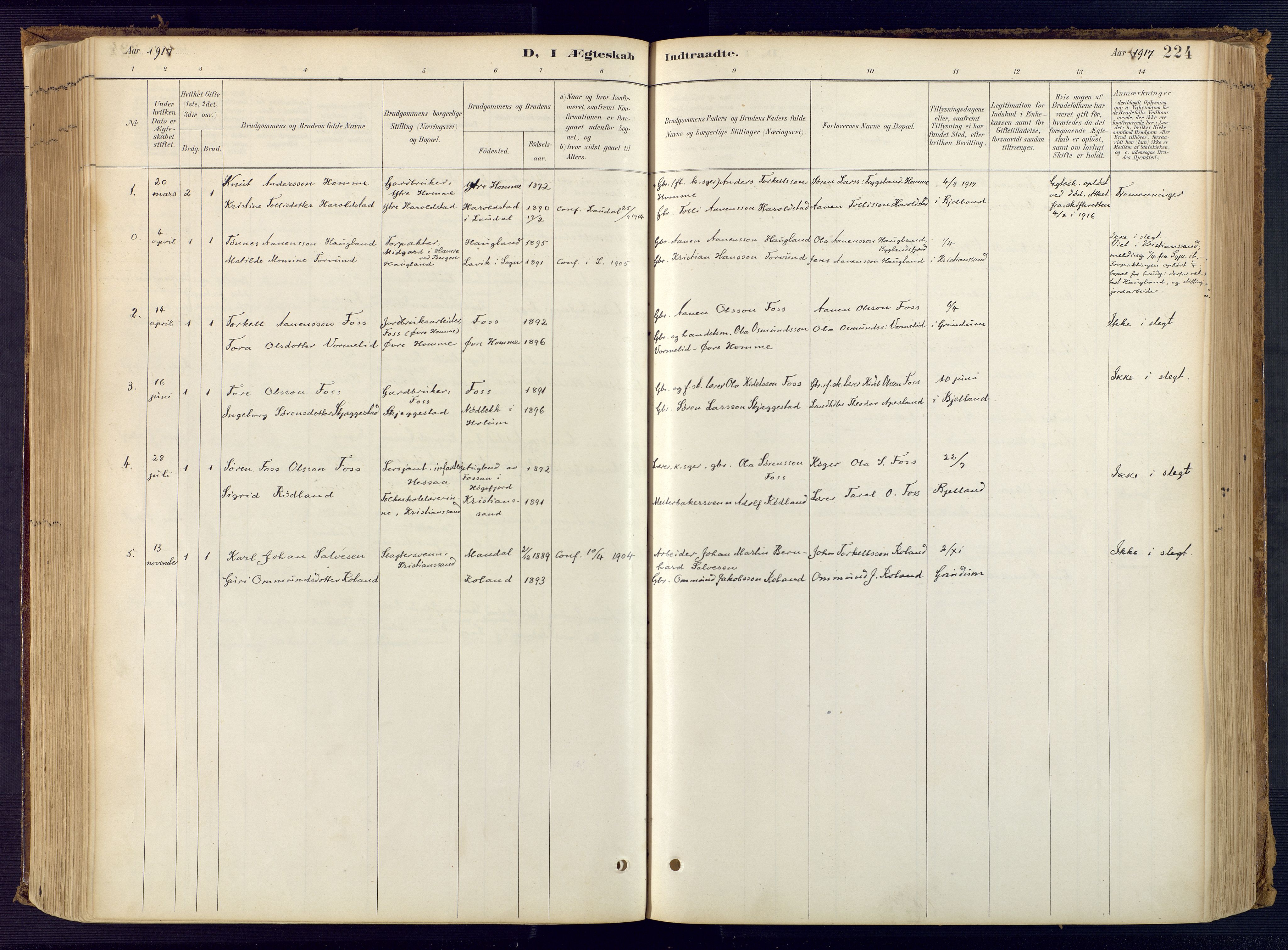 Bjelland sokneprestkontor, SAK/1111-0005/F/Fa/Faa/L0004: Parish register (official) no. A 4, 1887-1923, p. 224