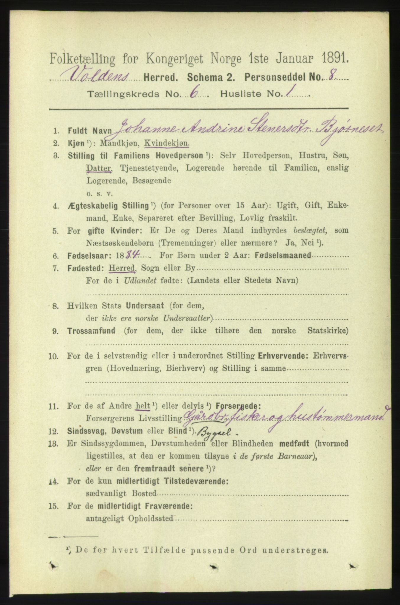 RA, 1891 census for 1519 Volda, 1891, p. 2870