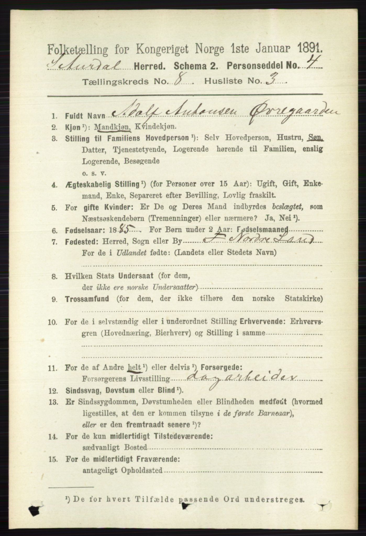 RA, 1891 census for 0540 Sør-Aurdal, 1891, p. 4876