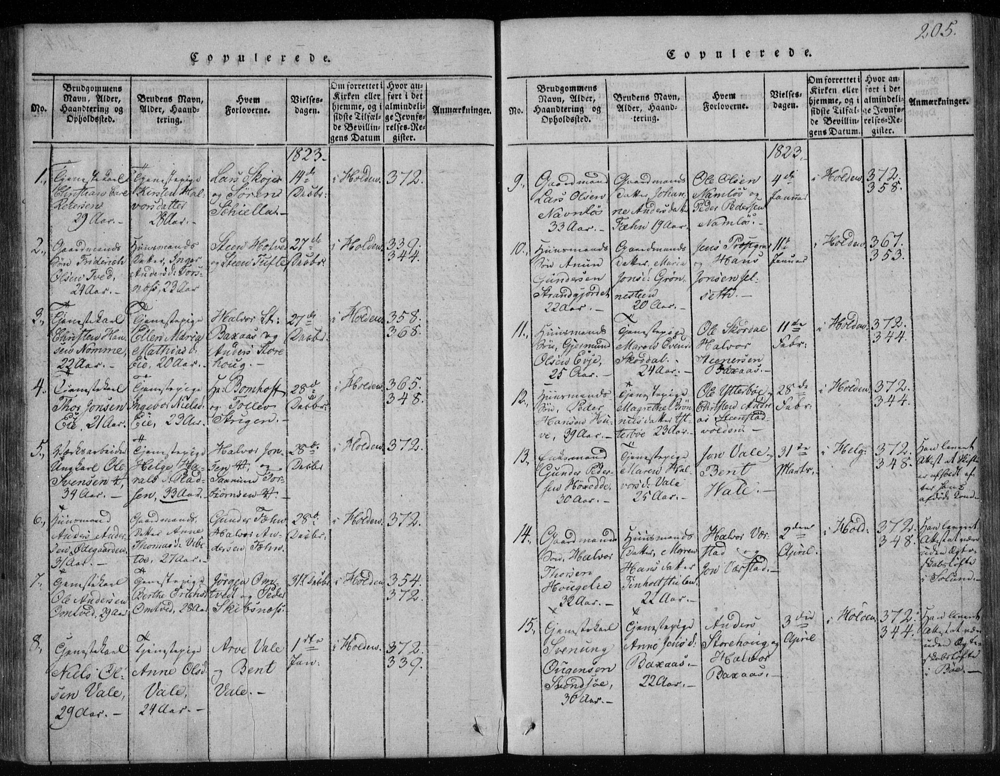 Holla kirkebøker, SAKO/A-272/F/Fa/L0003: Parish register (official) no. 3, 1815-1830, p. 205