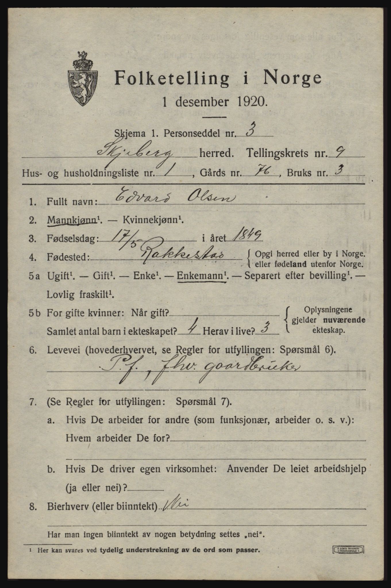 SAO, 1920 census for Skjeberg, 1920, p. 8869