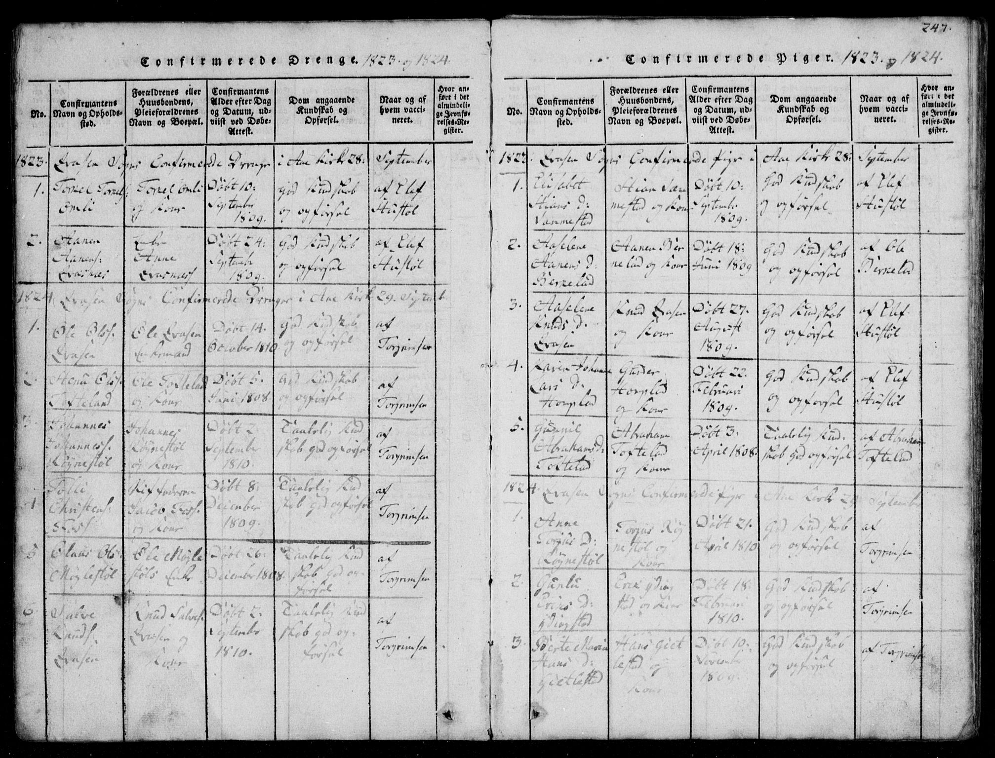 Lyngdal sokneprestkontor, AV/SAK-1111-0029/F/Fb/Fbb/L0001: Parish register (copy) no. B 1, 1816-1900, p. 247