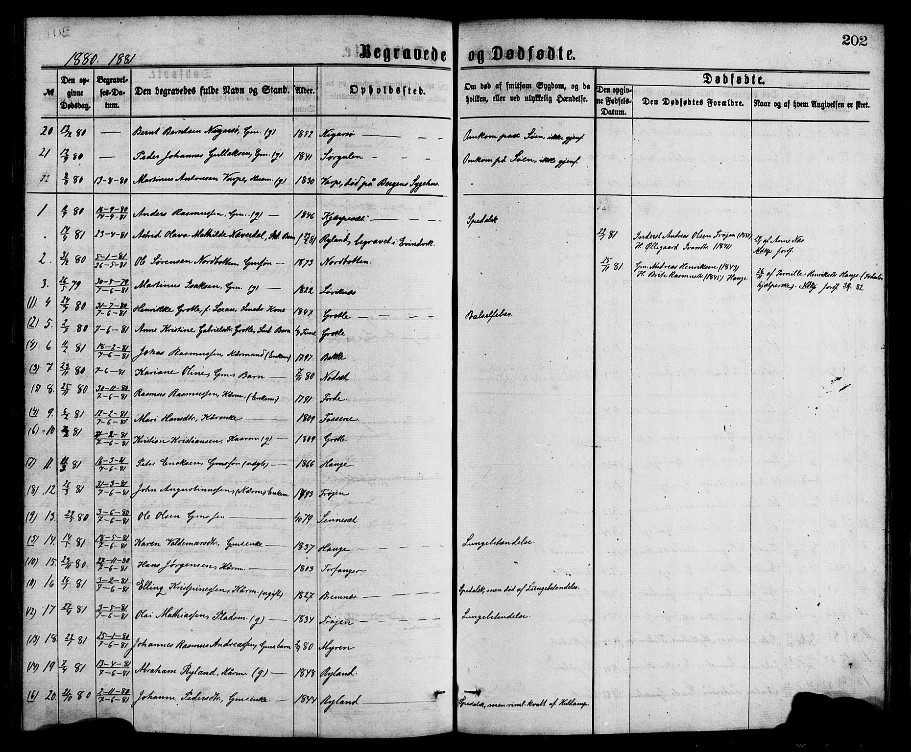 Bremanger sokneprestembete, SAB/A-82201/H/Hab/Haba/L0002: Parish register (copy) no. A 2, 1866-1889, p. 202