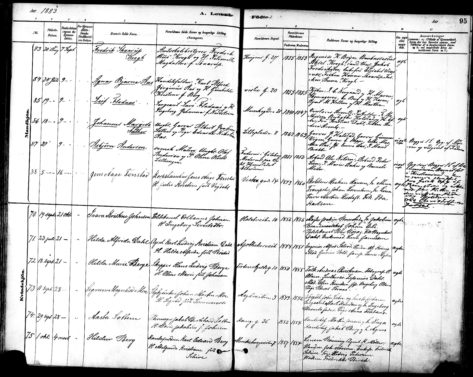 Ministerialprotokoller, klokkerbøker og fødselsregistre - Sør-Trøndelag, AV/SAT-A-1456/601/L0057: Parish register (official) no. 601A25, 1877-1891, p. 95