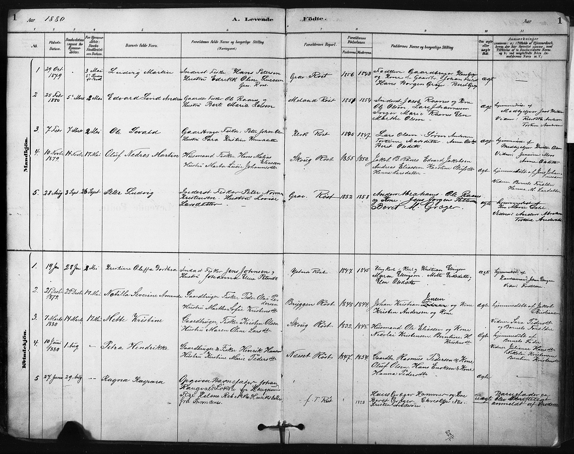 Ministerialprotokoller, klokkerbøker og fødselsregistre - Nordland, AV/SAT-A-1459/808/L0128: Parish register (official) no. 808A01, 1880-1902, p. 1